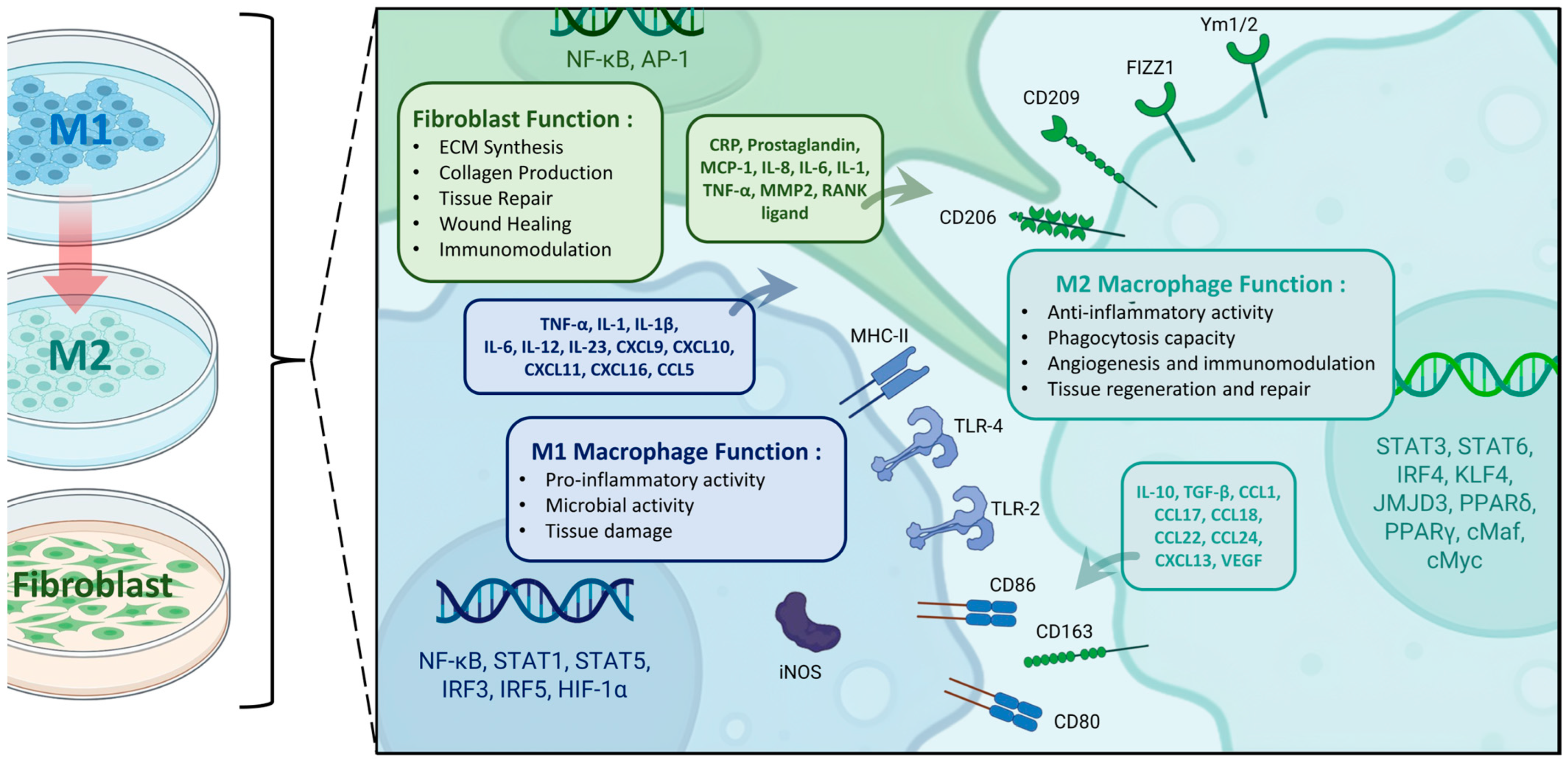 Biochem 04 00003 g002 Biochem 04 00003 g002