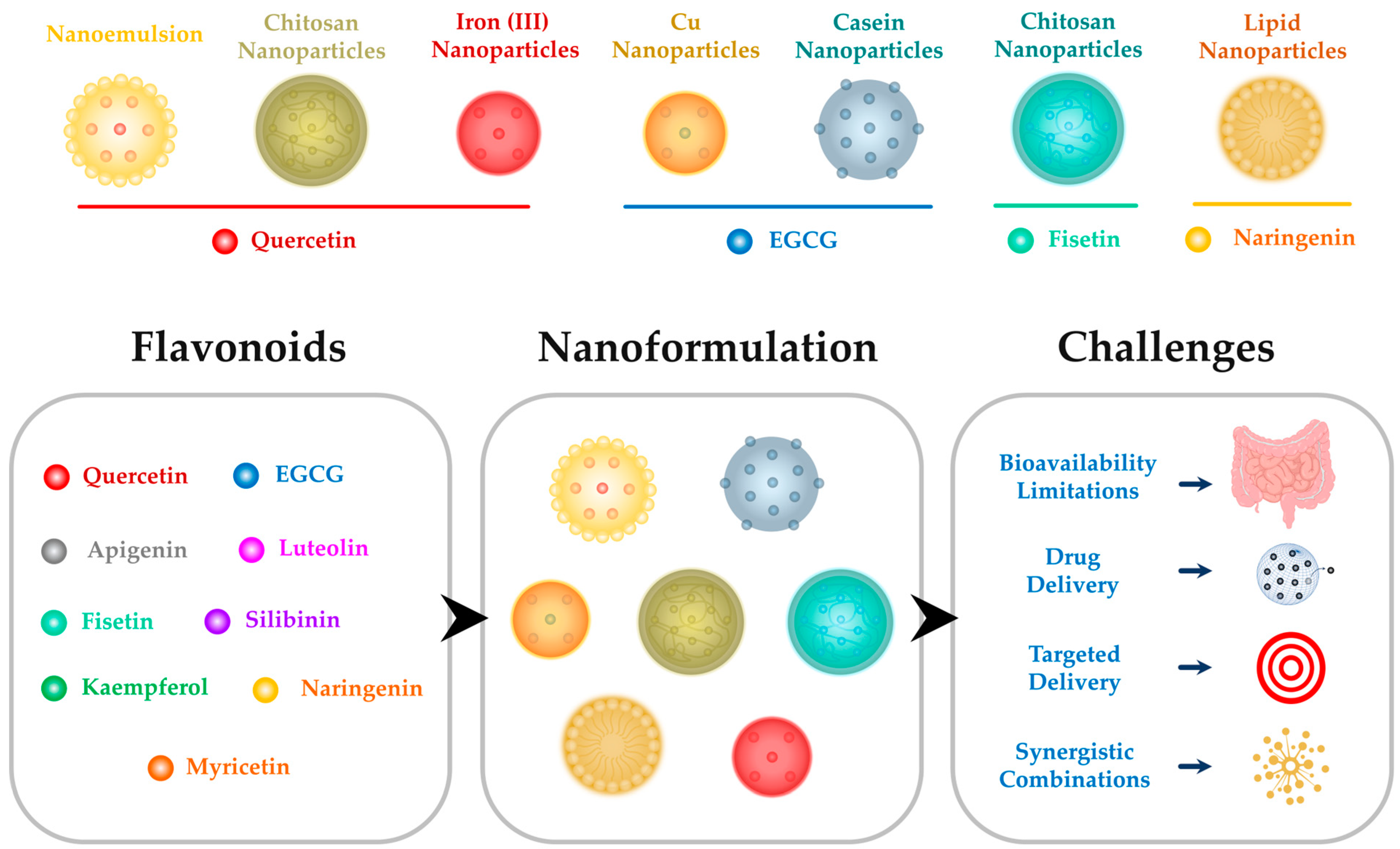 Biochem 04 00003 g004 Biochem 04 00003 g004