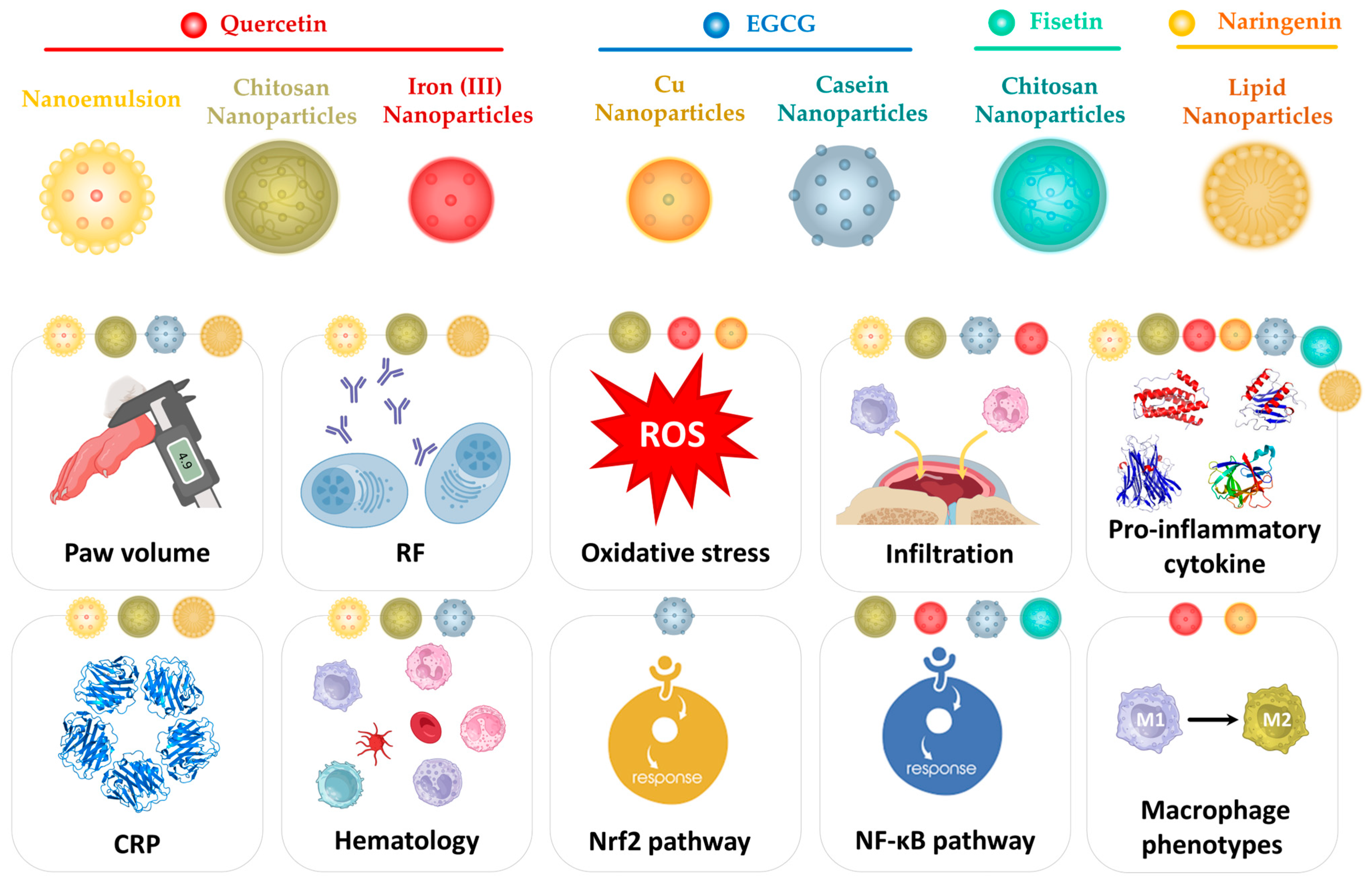 Biochem 04 00003 g005 Biochem 04 00003 g005