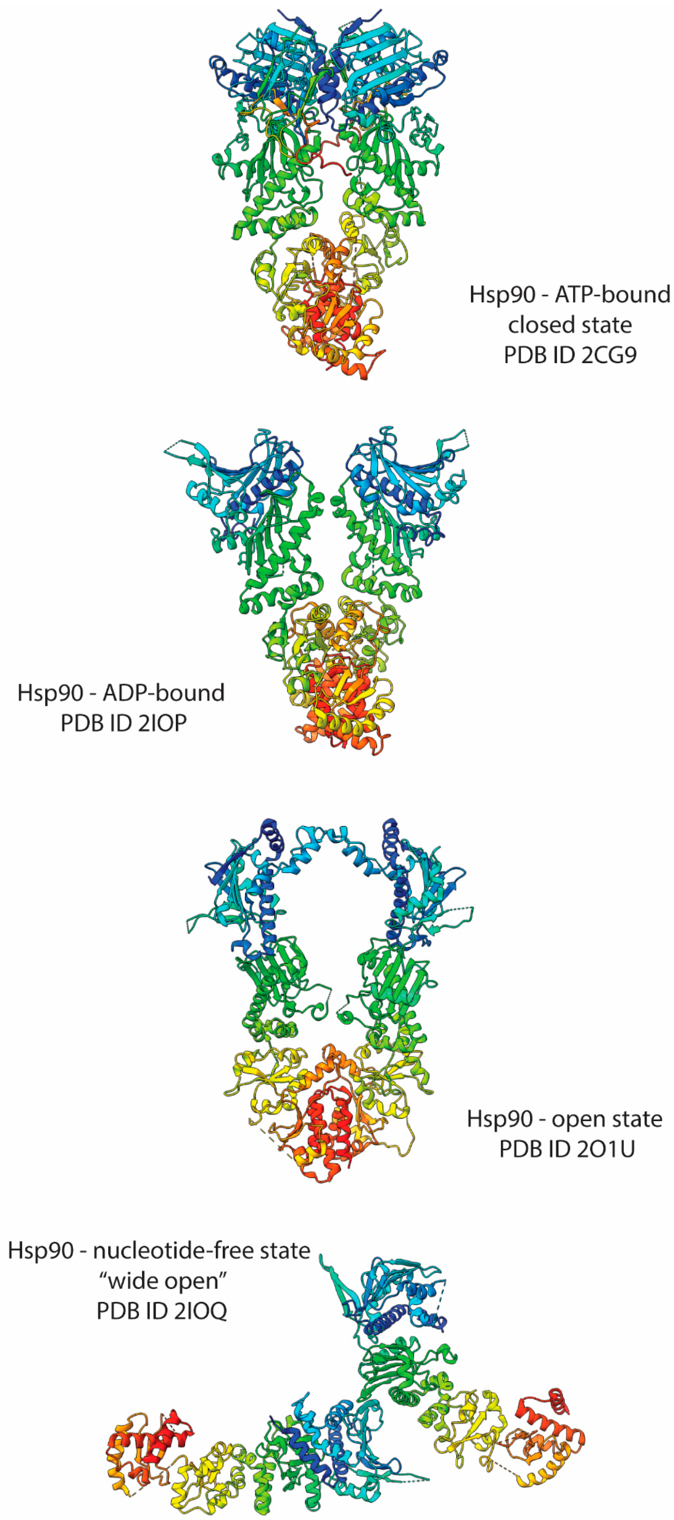 Biochem 04 00004 g003