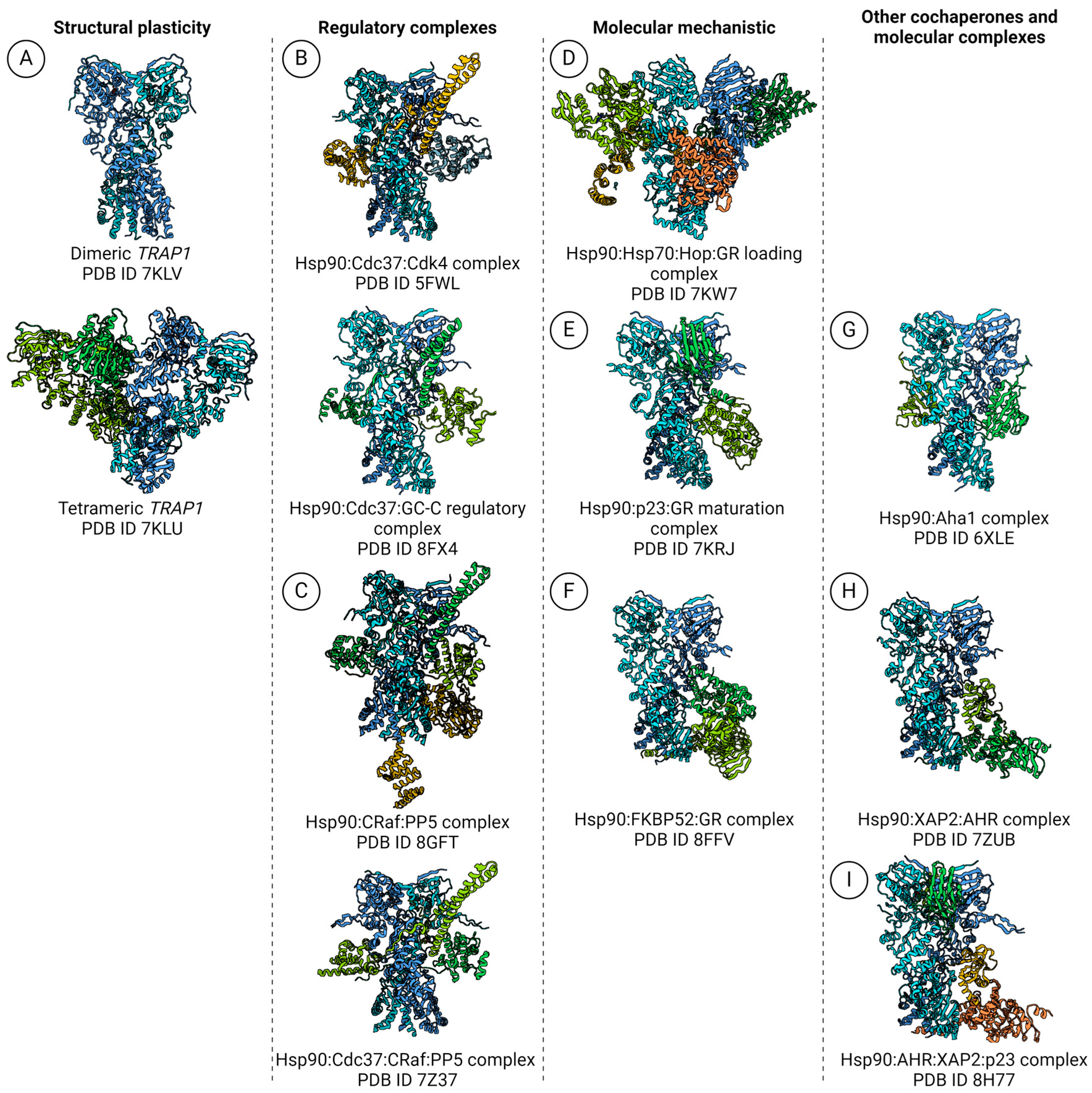 Biochem 04 00004 g004