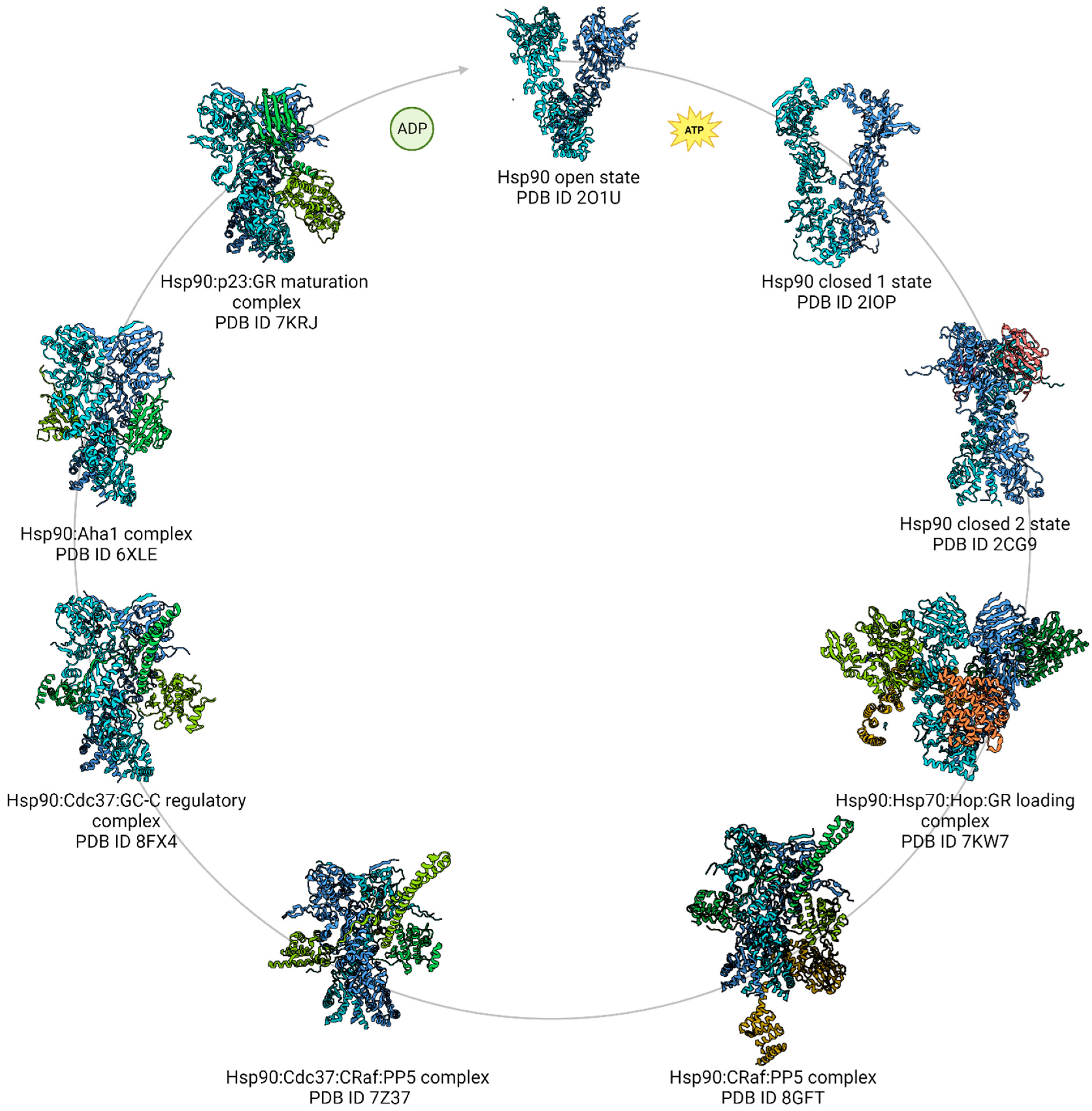 Biochem 04 00004 g005