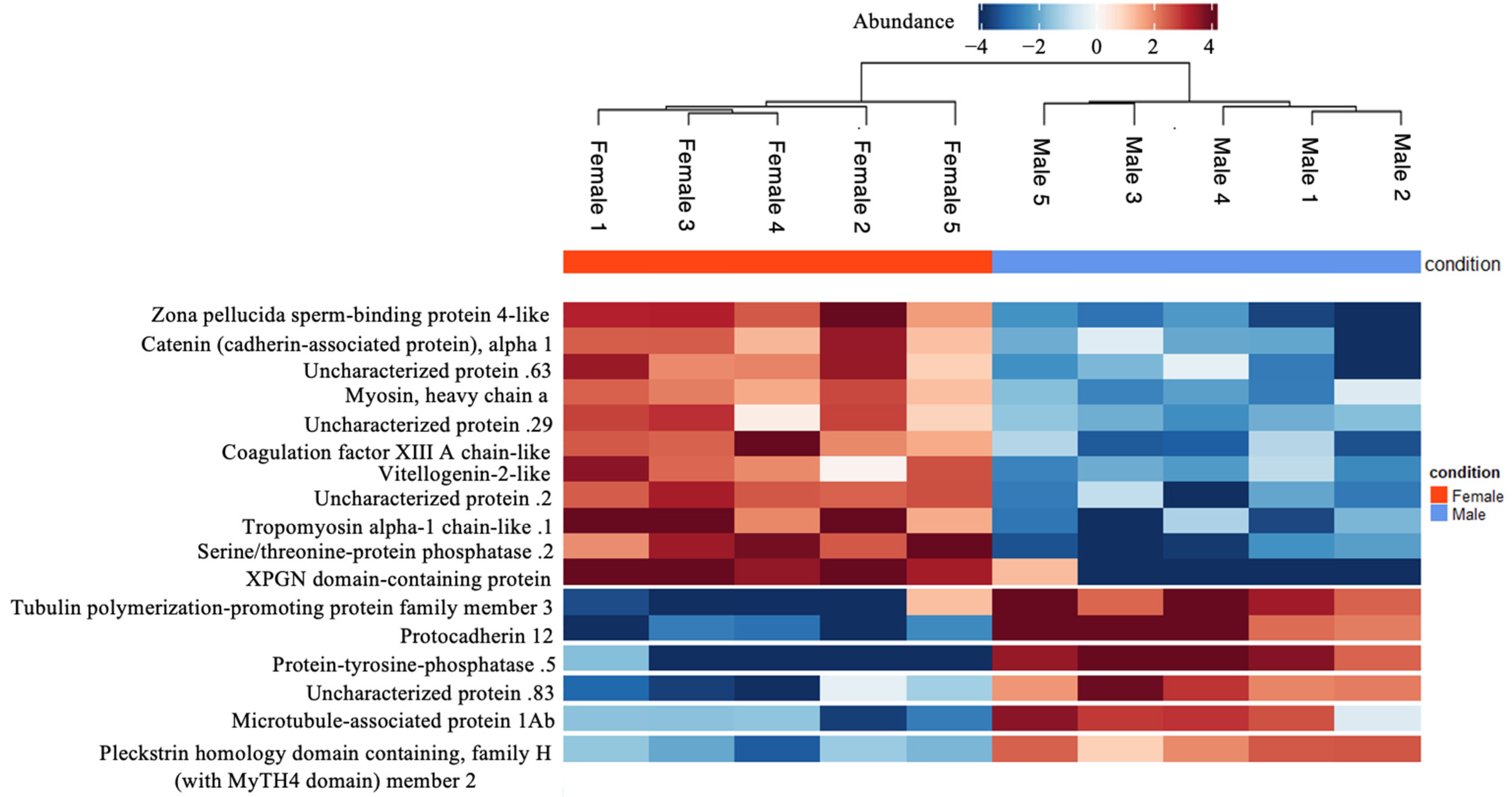 Biochem 04 00008 g004