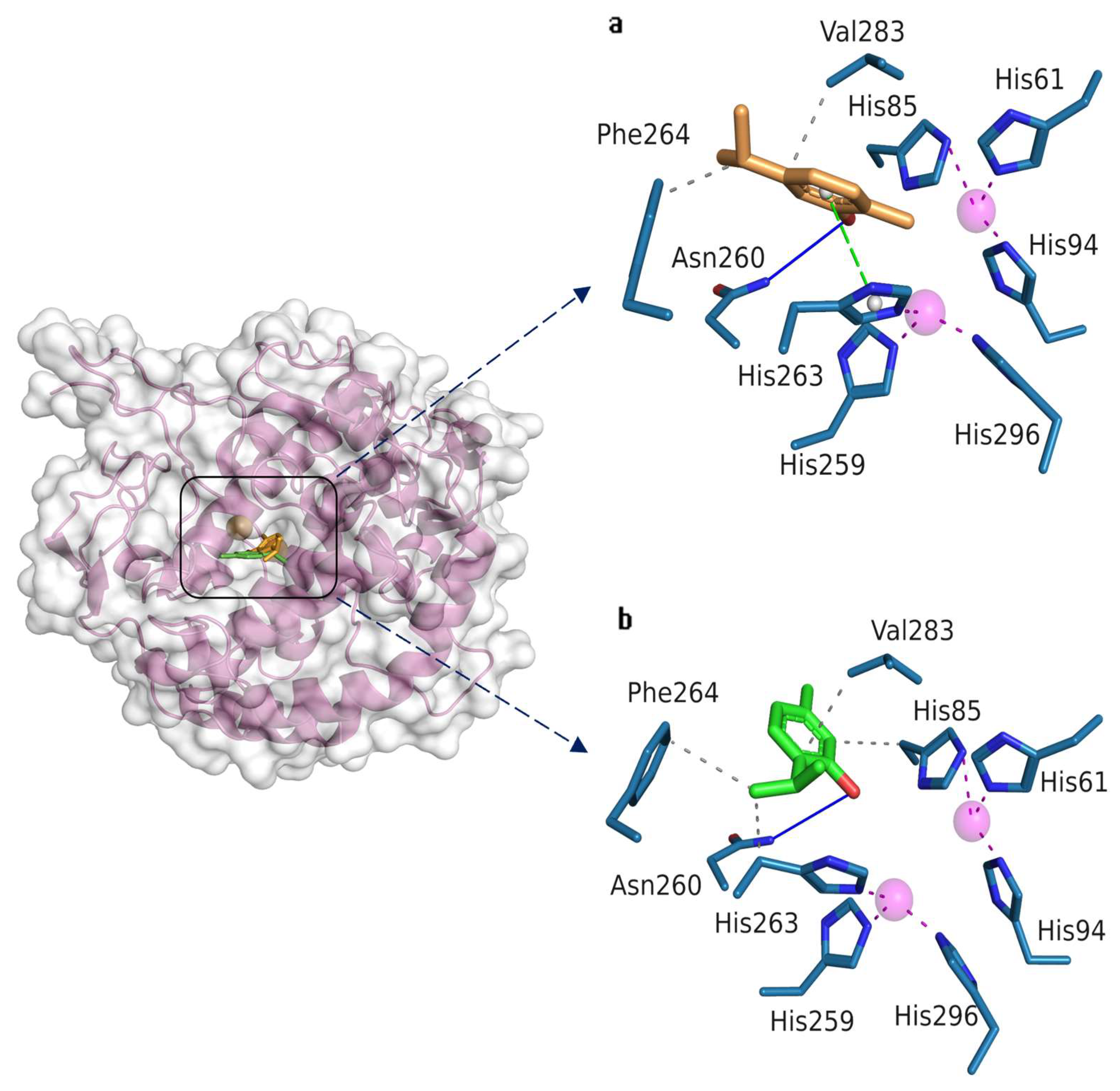 Biochem 04 00009 g004