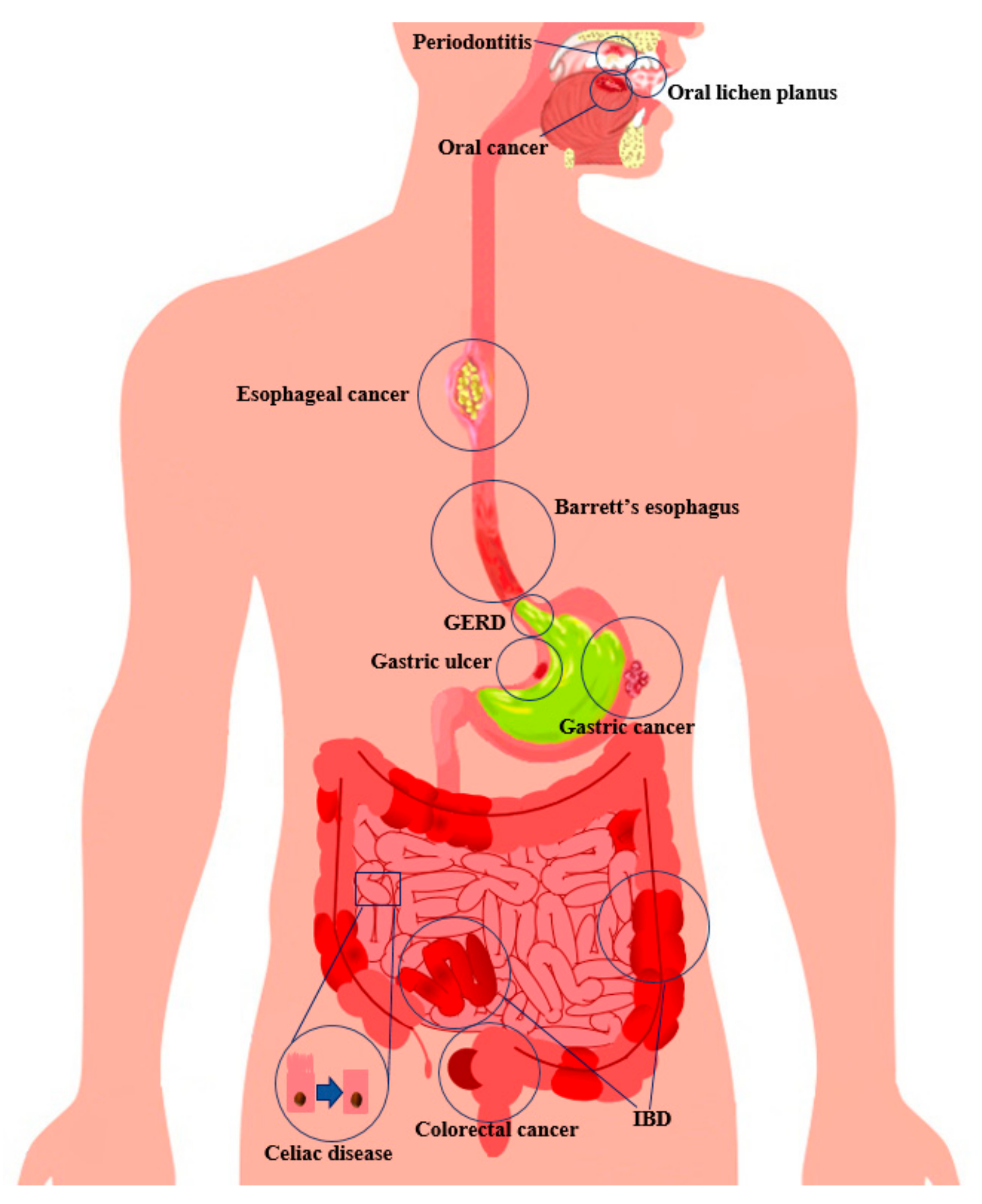 Biochem 04 00010 g002