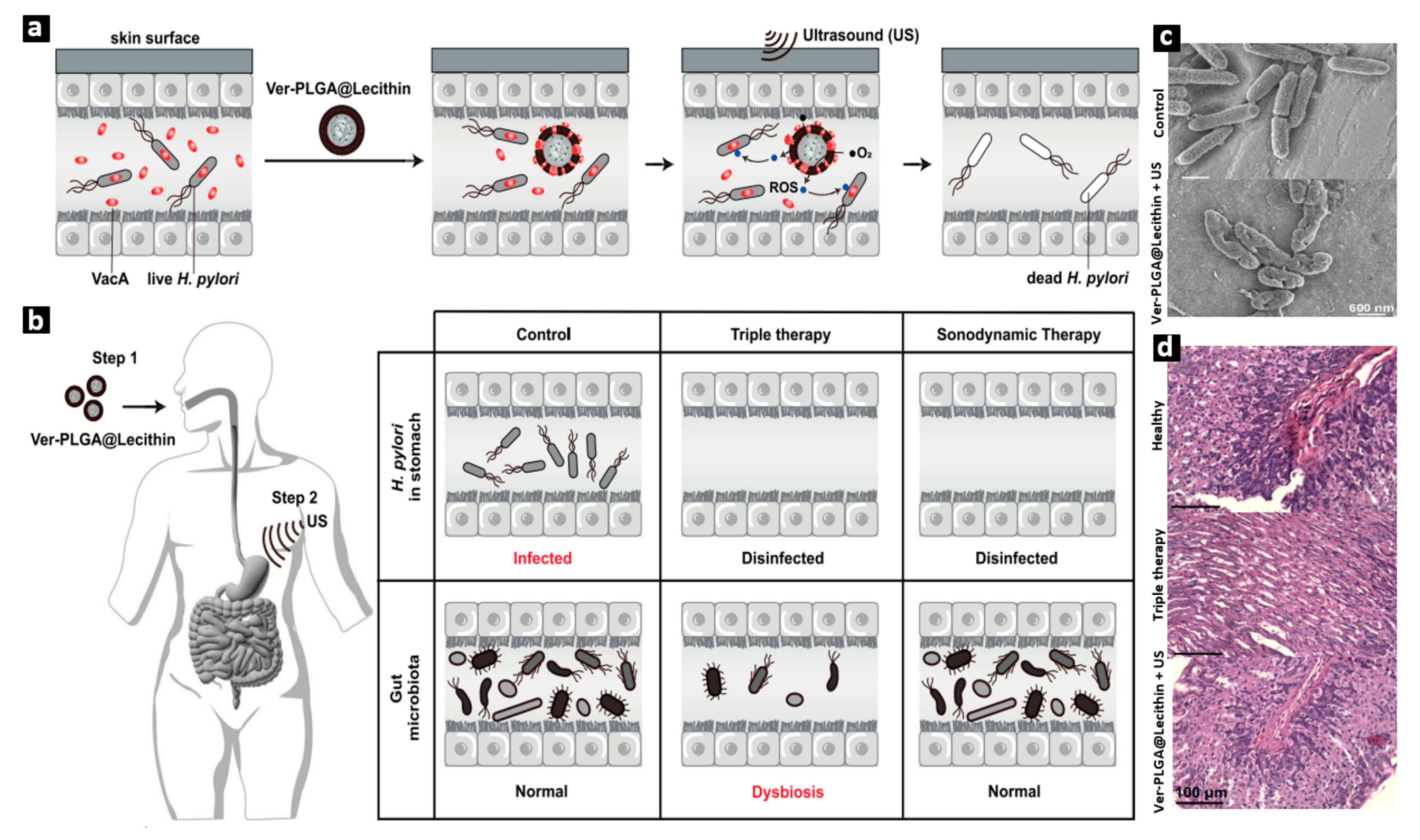Biochem 04 00010 g005