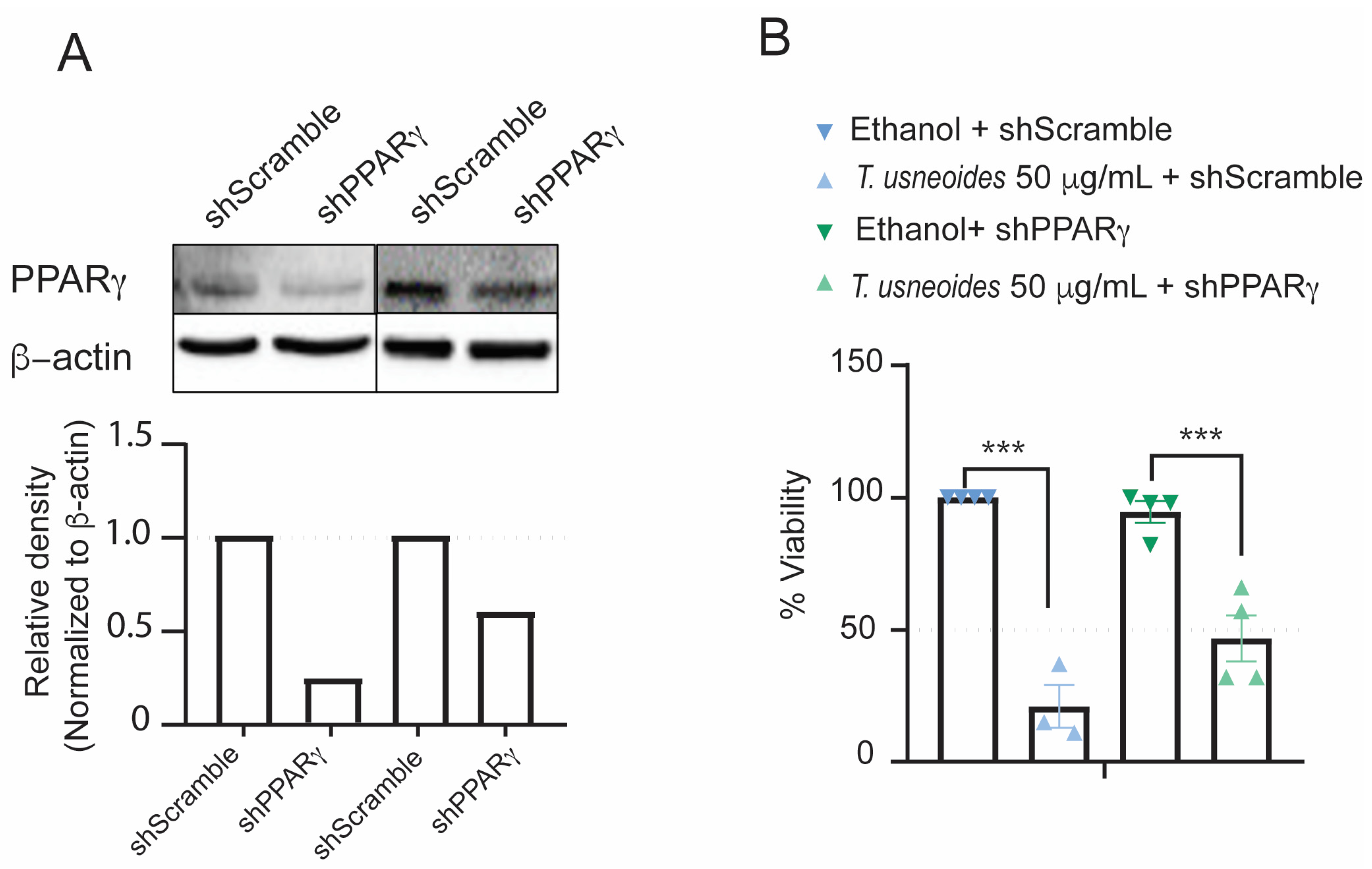 Biochem 04 00011 g006 Biochem 04 00011 g006