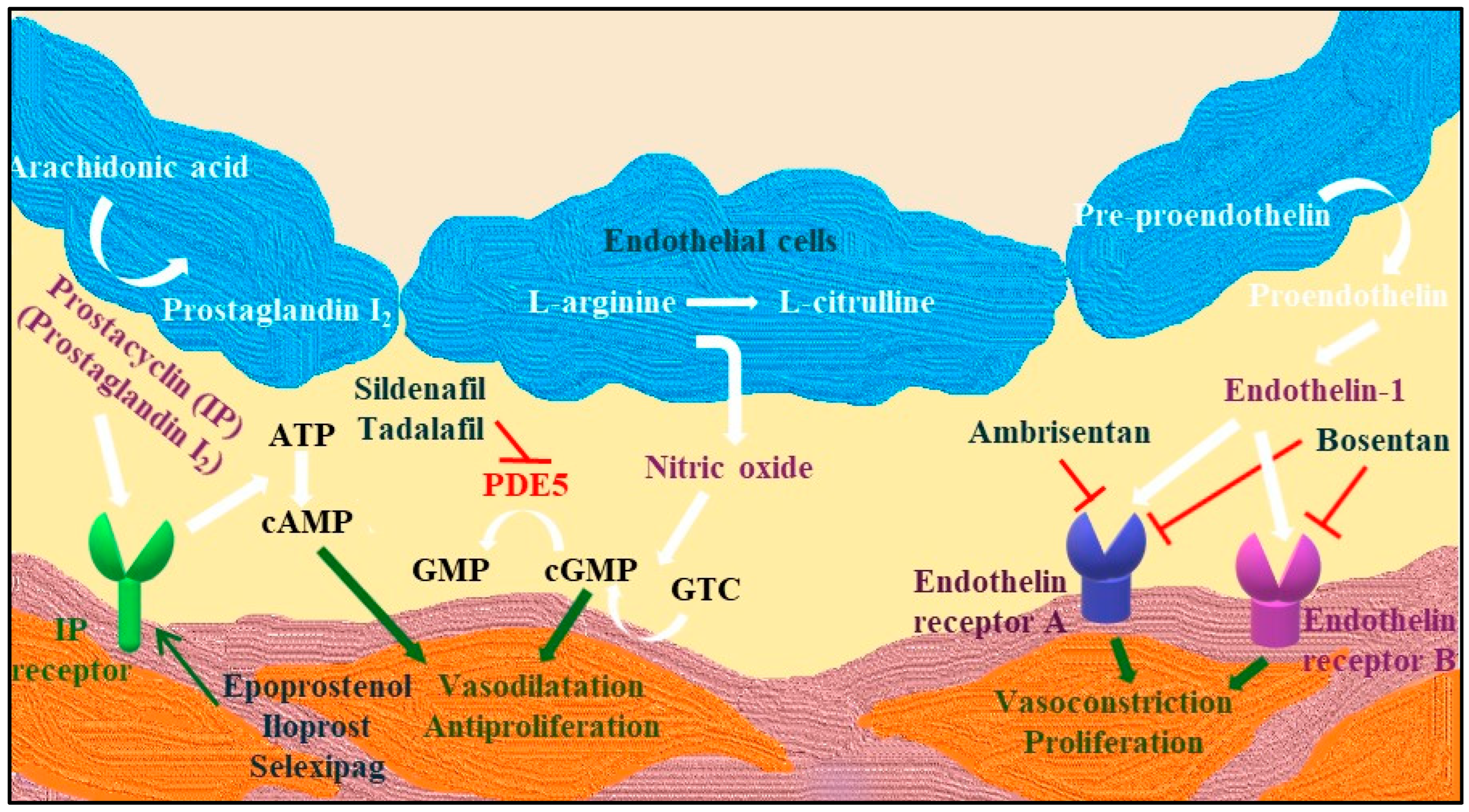 Biochem 04 00012 g001