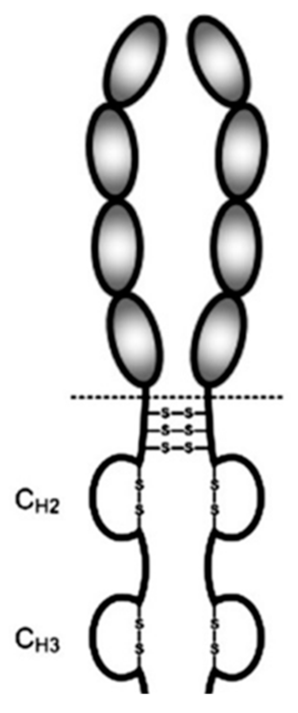 Biochem 04 00012 g014