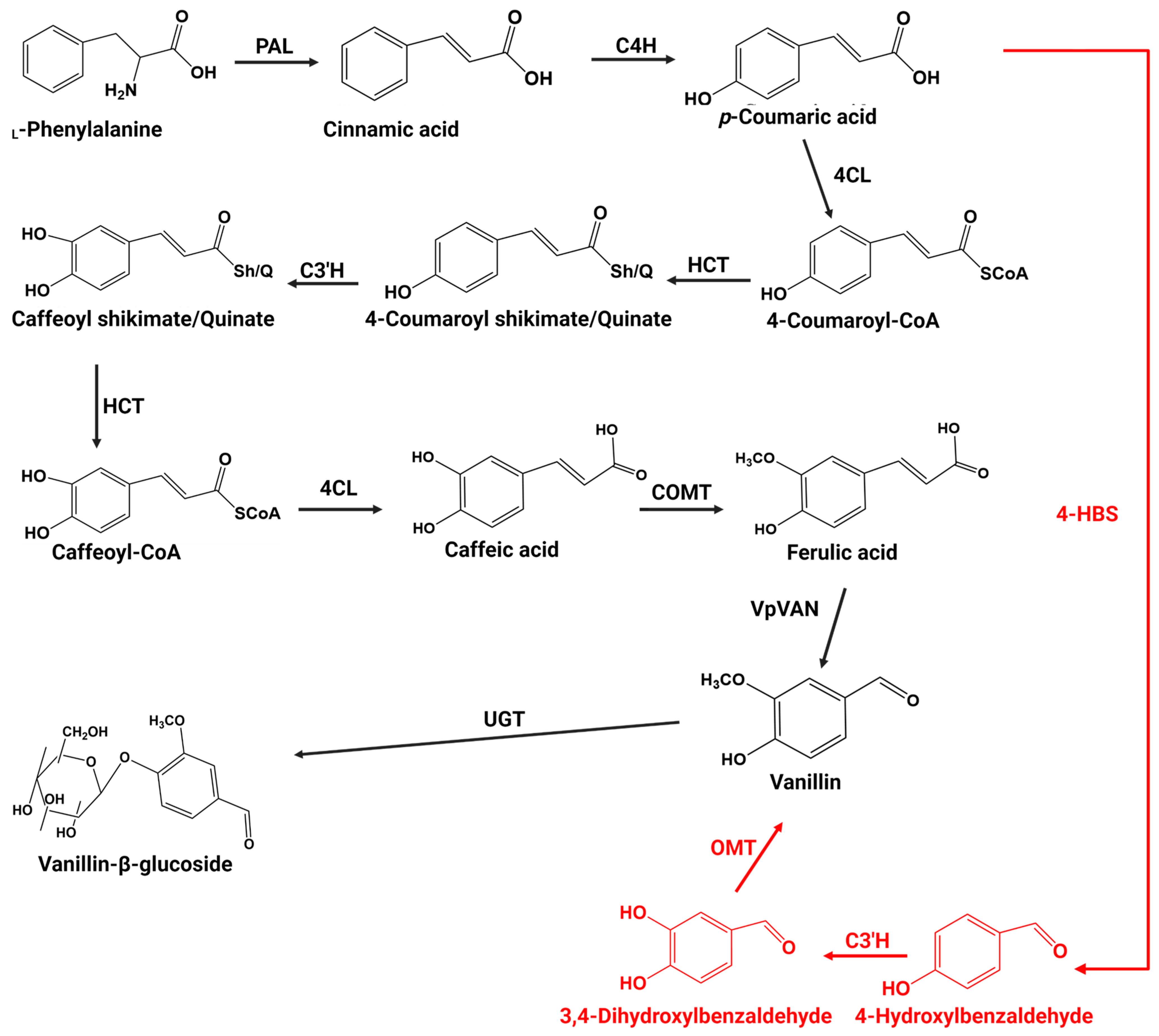 Biochem 04 00017 g003 Biochem 04 00017 g003