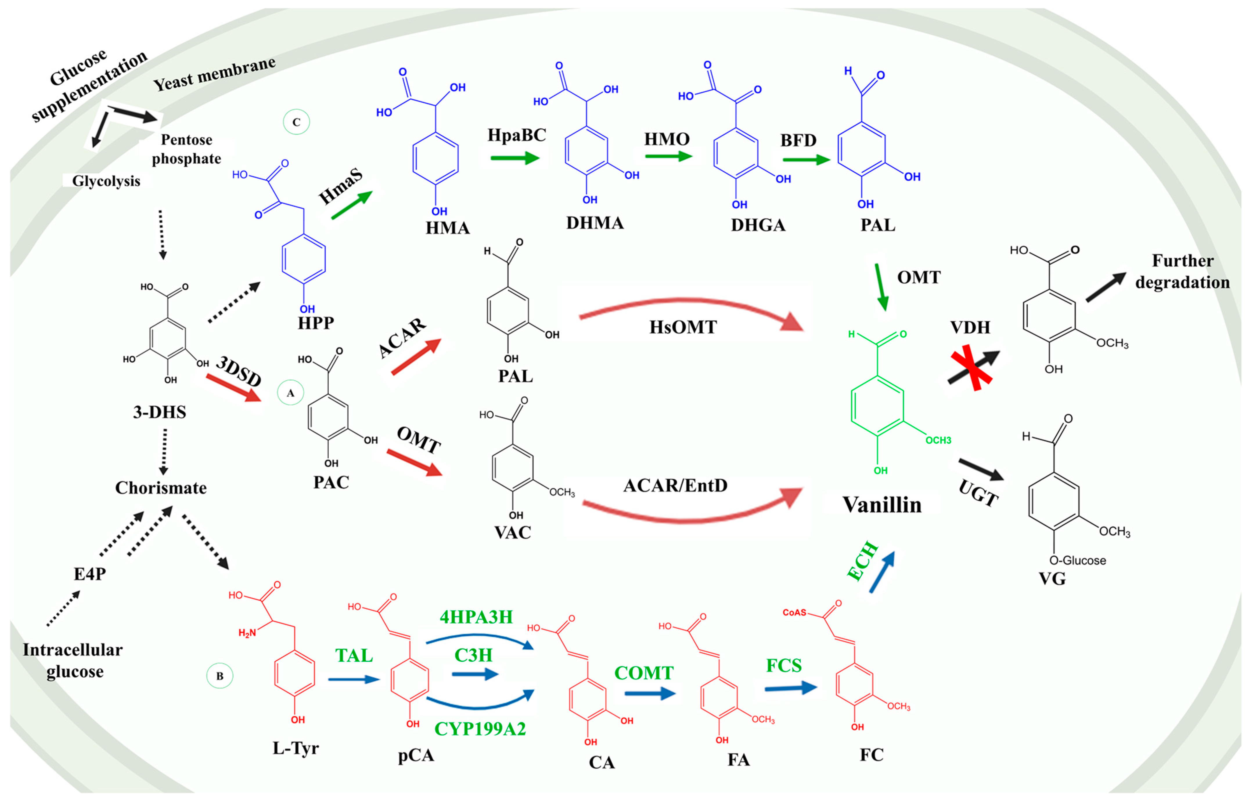 Biochem 04 00017 g005 Biochem 04 00017 g005