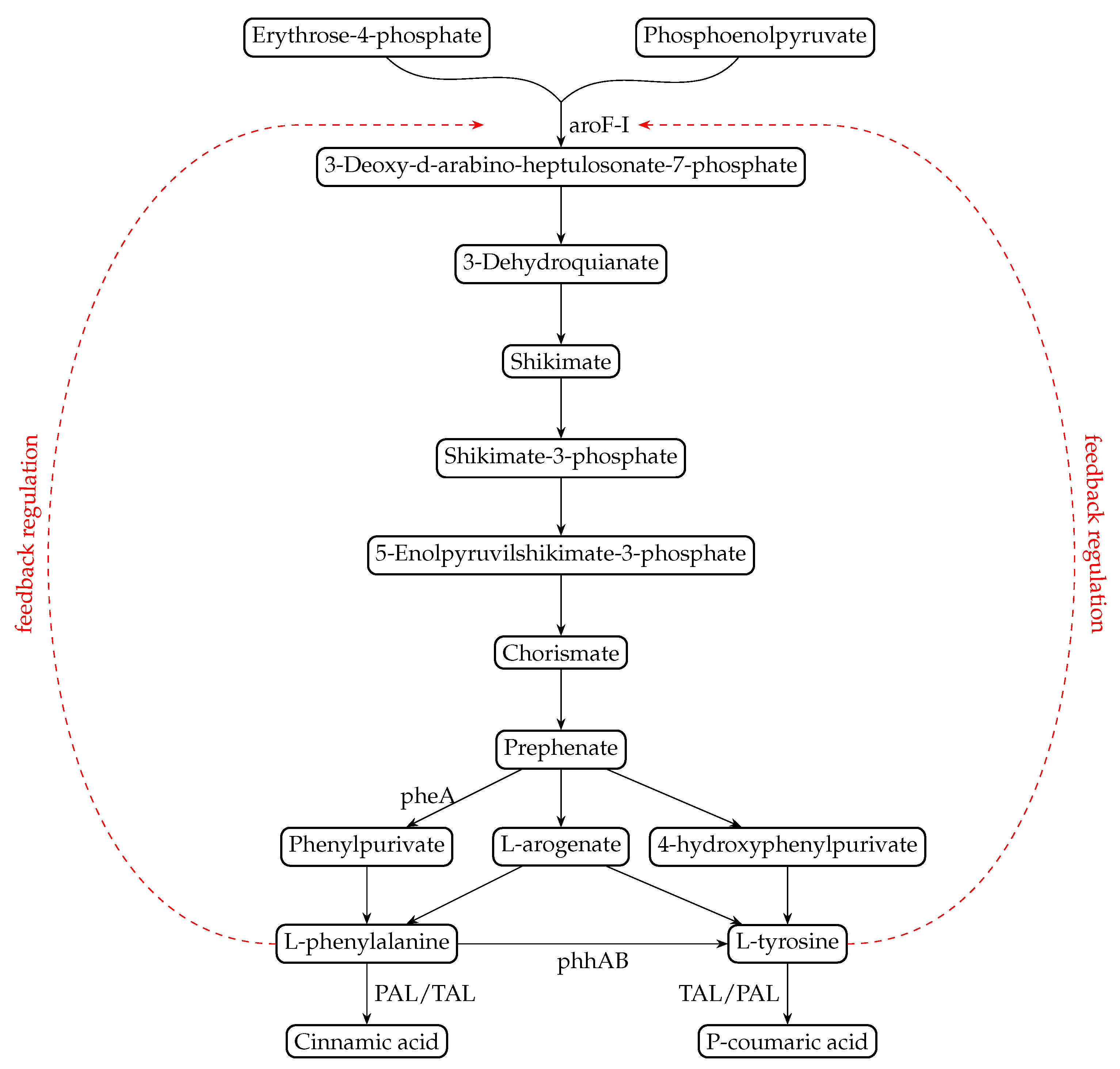 Biochem 05 00004 g001