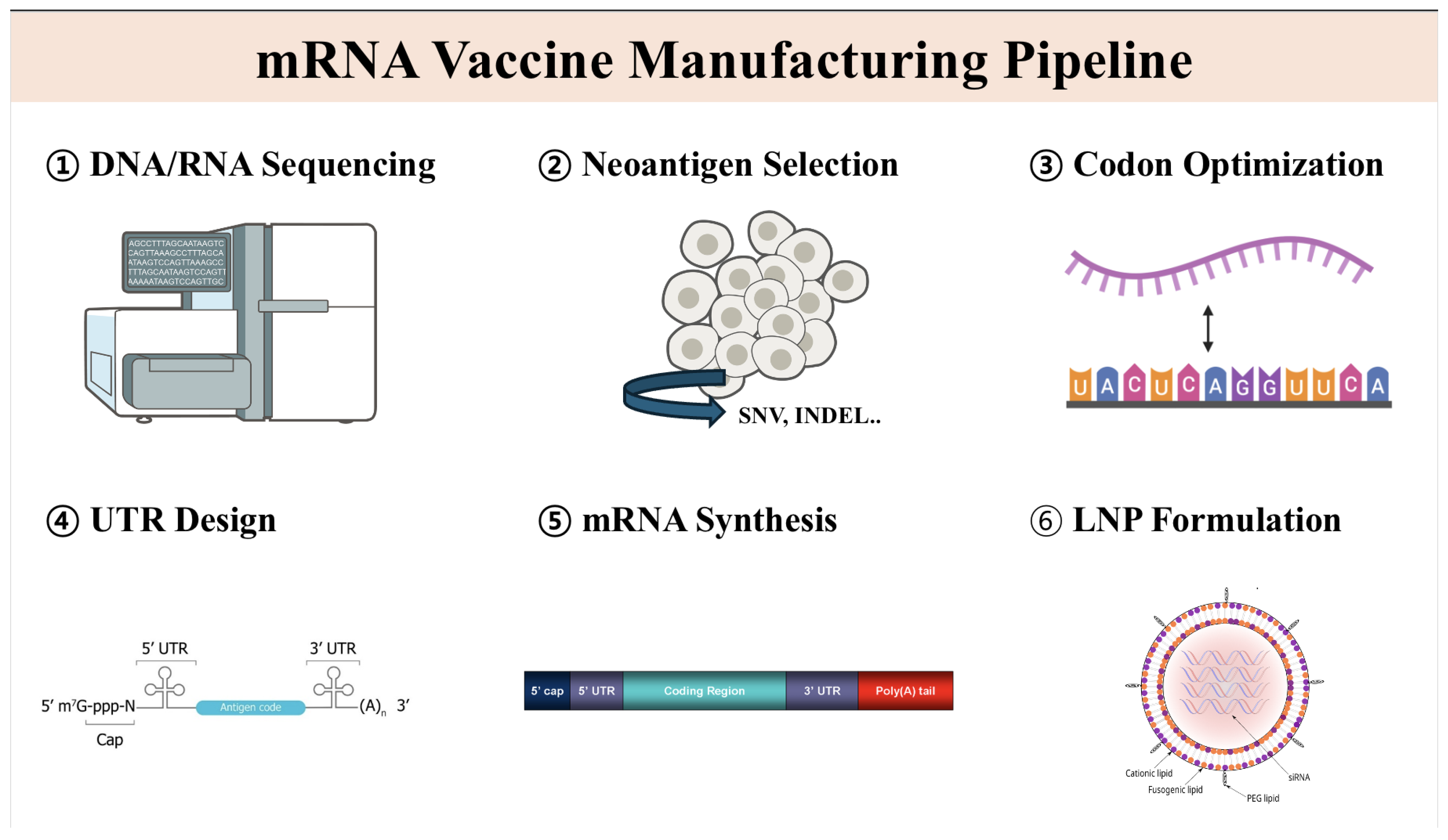 Biochem 05 00005 g001