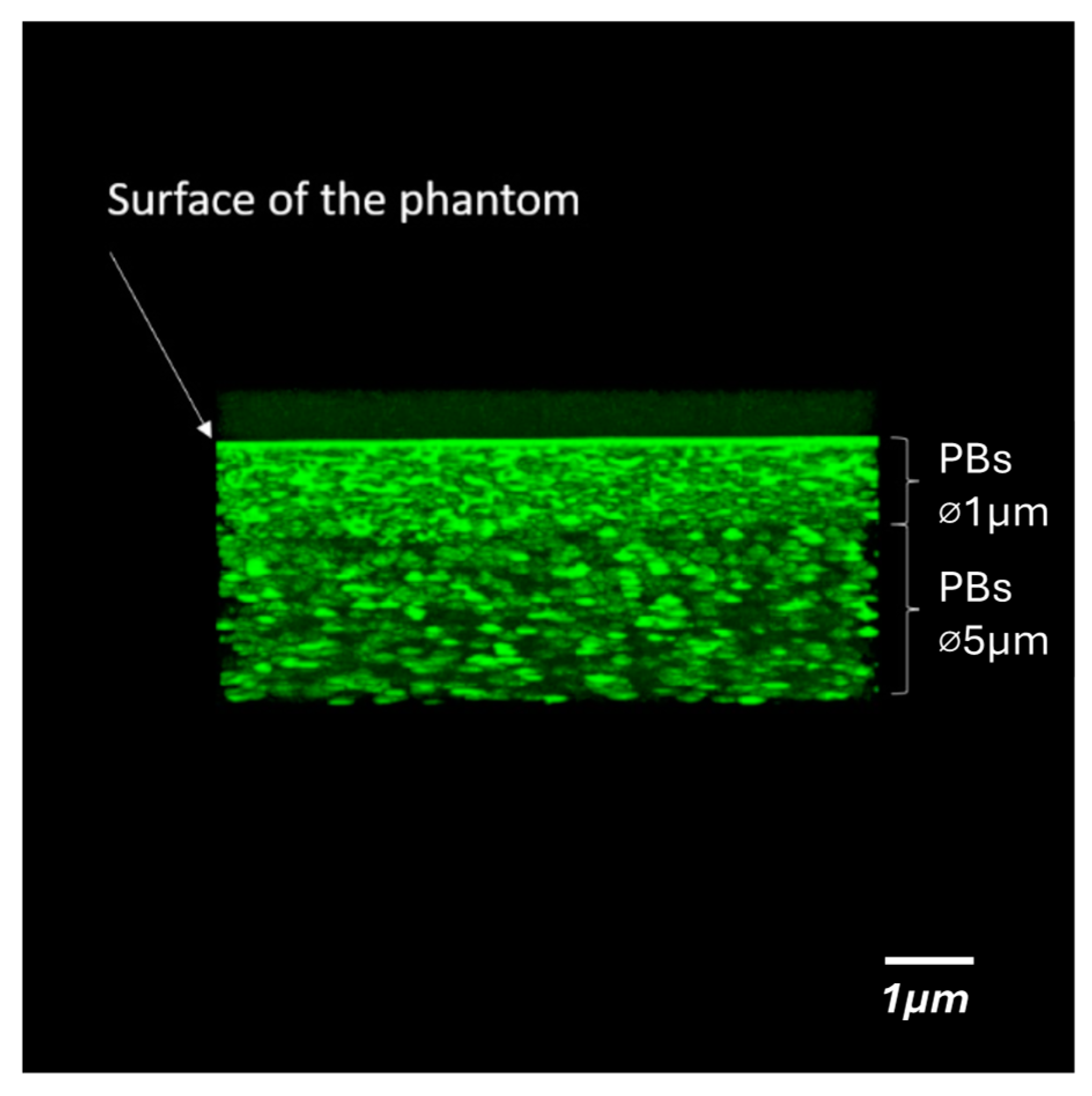 Biochem 05 00006 g001 Biochem 05 00006 g001