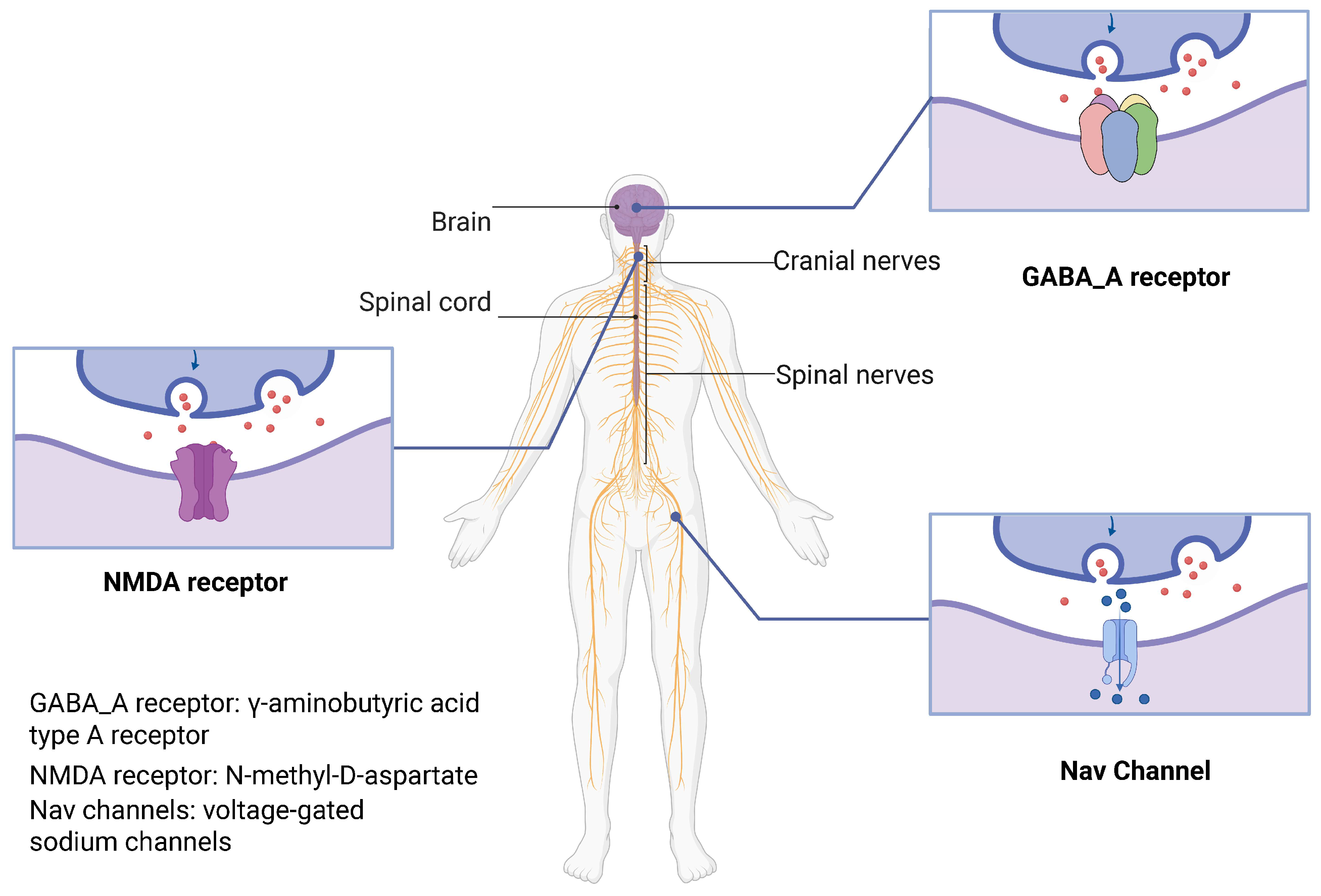 Biochem 05 00018 g001 Biochem 05 00018 g001