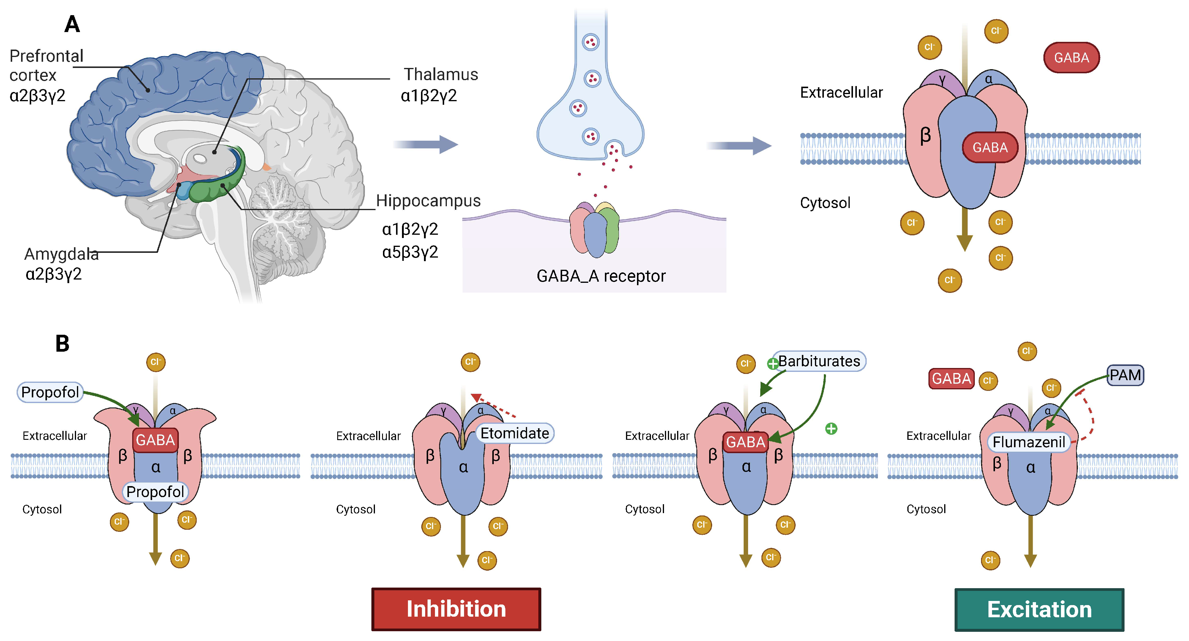 Biochem 05 00018 g003 Biochem 05 00018 g003