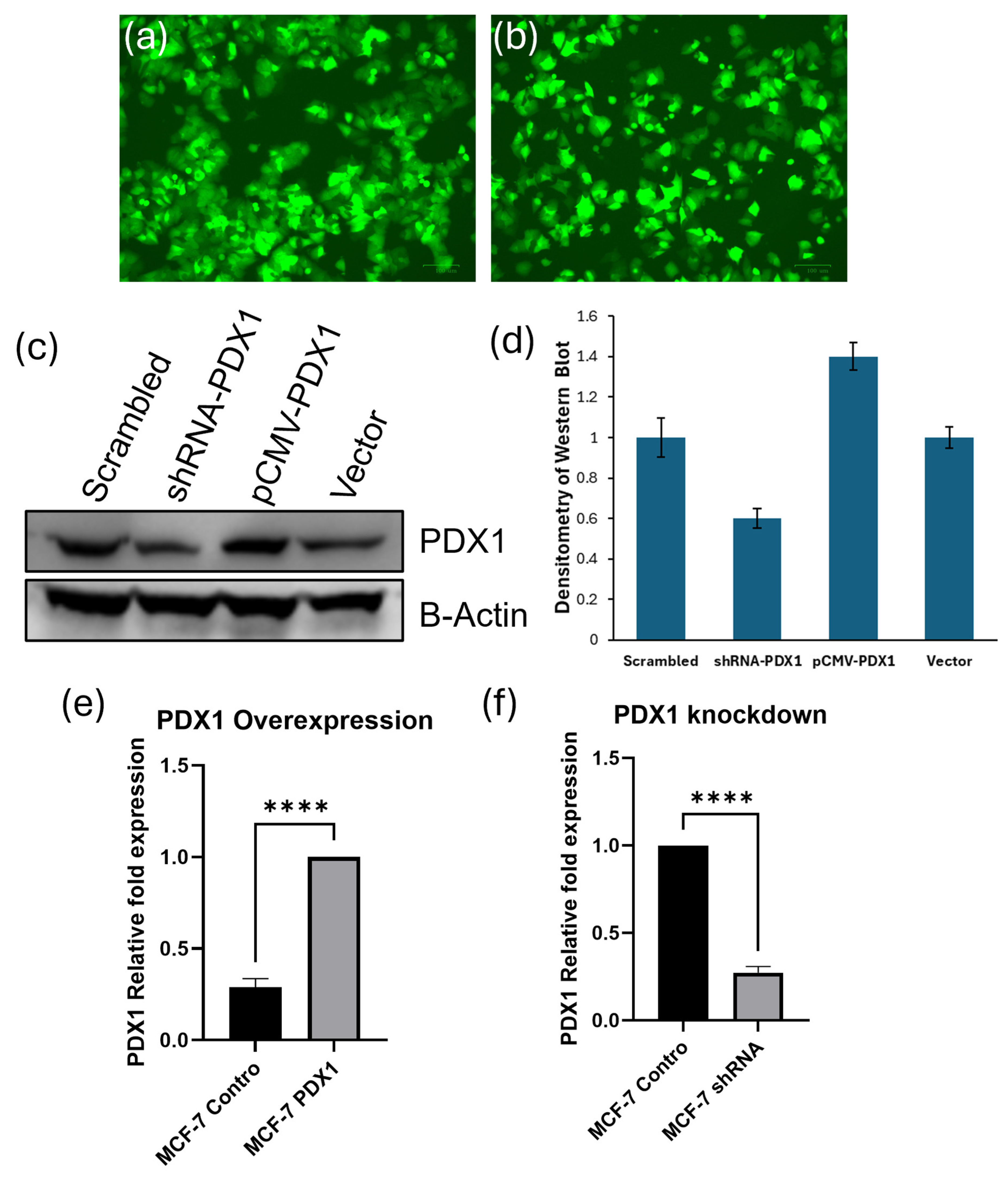 Biochem 05 00020 g002