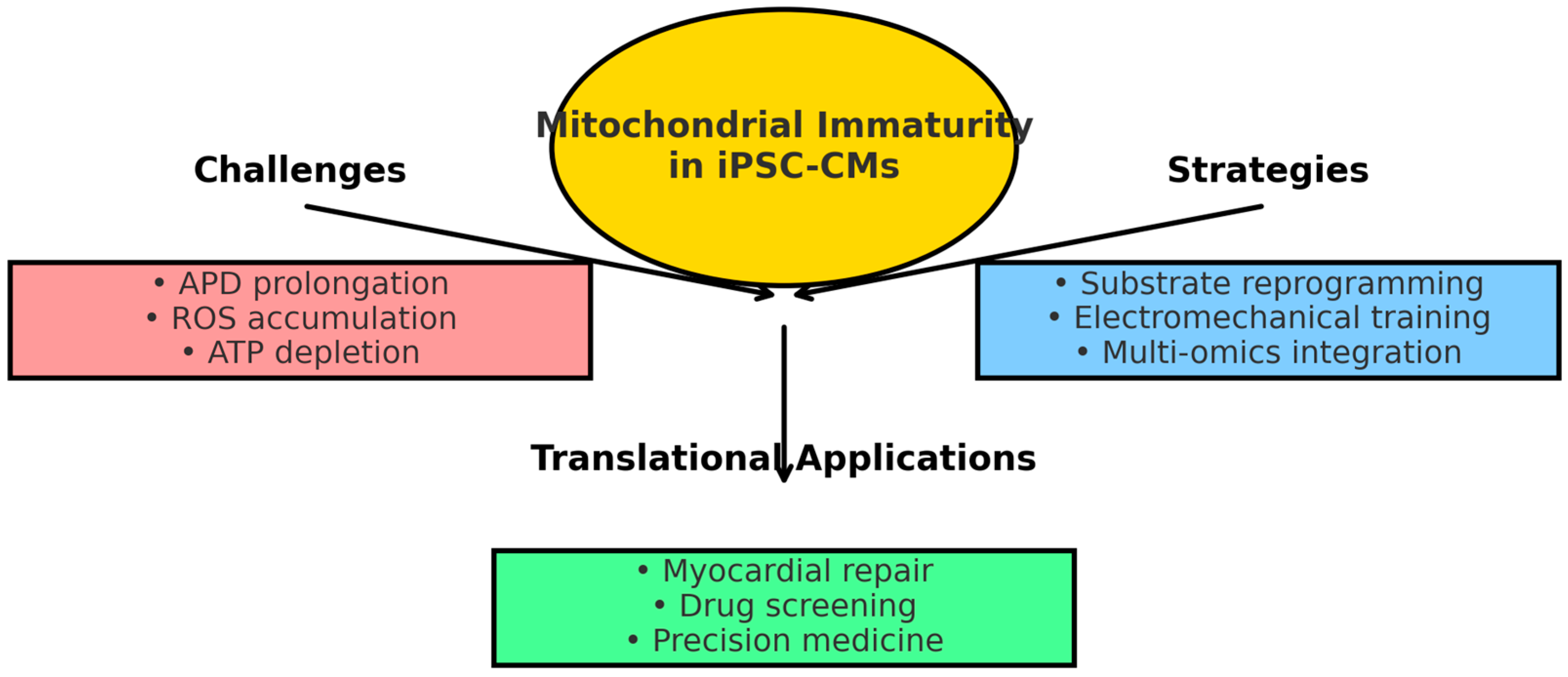 Biochem 05 00023 g003