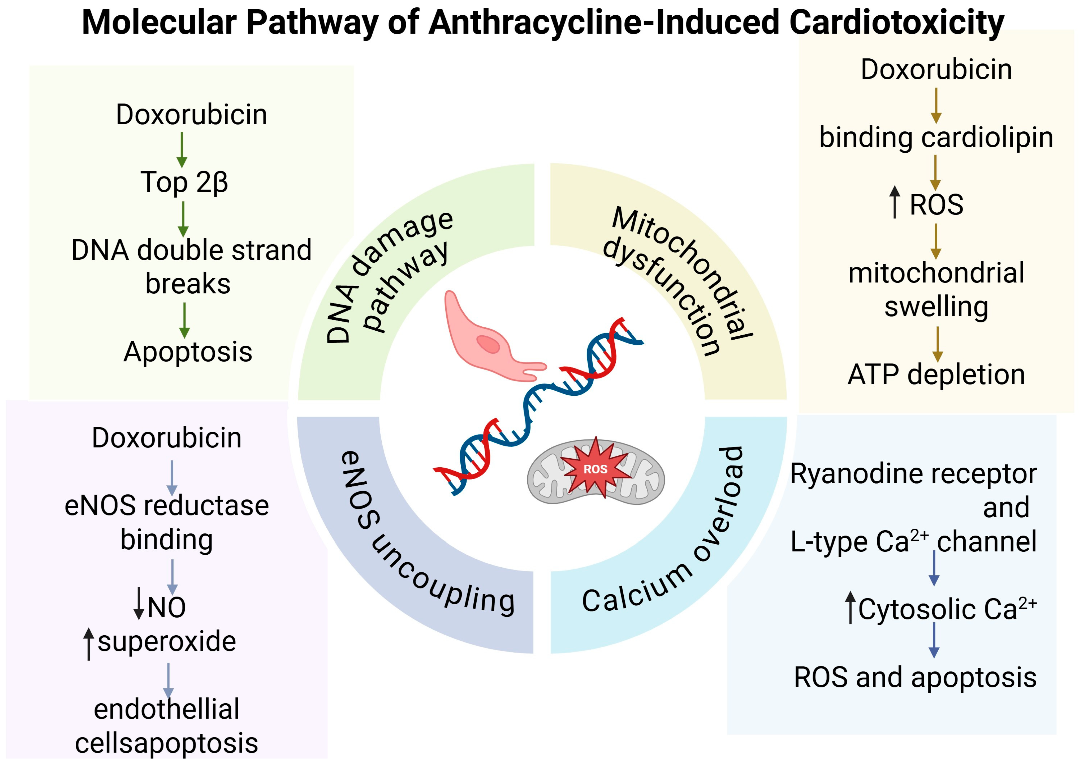 Biochem 05 00025 g001