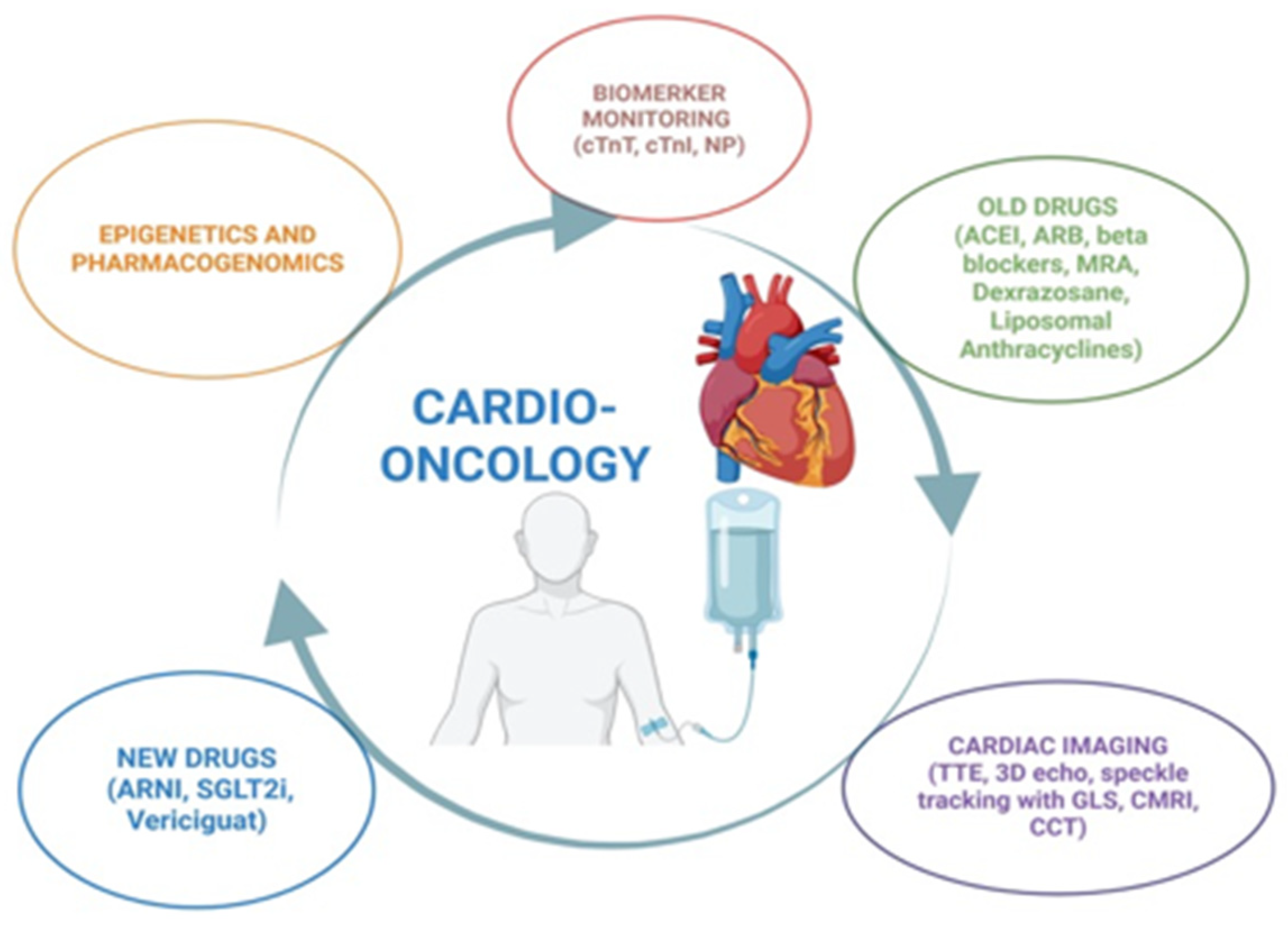Biochem 05 00025 g002
