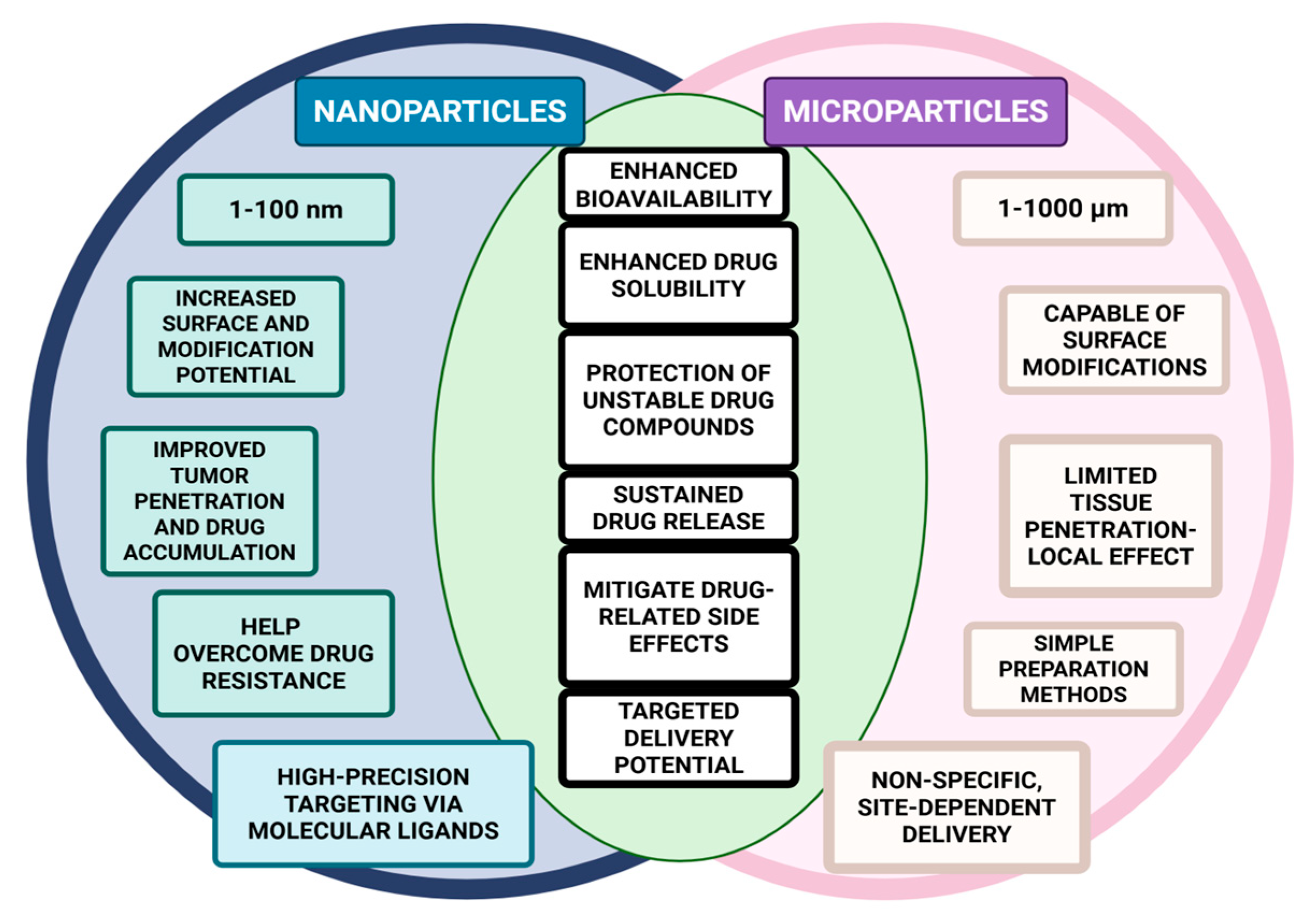 Biochem 05 00026 g003 Biochem 05 00026 g003