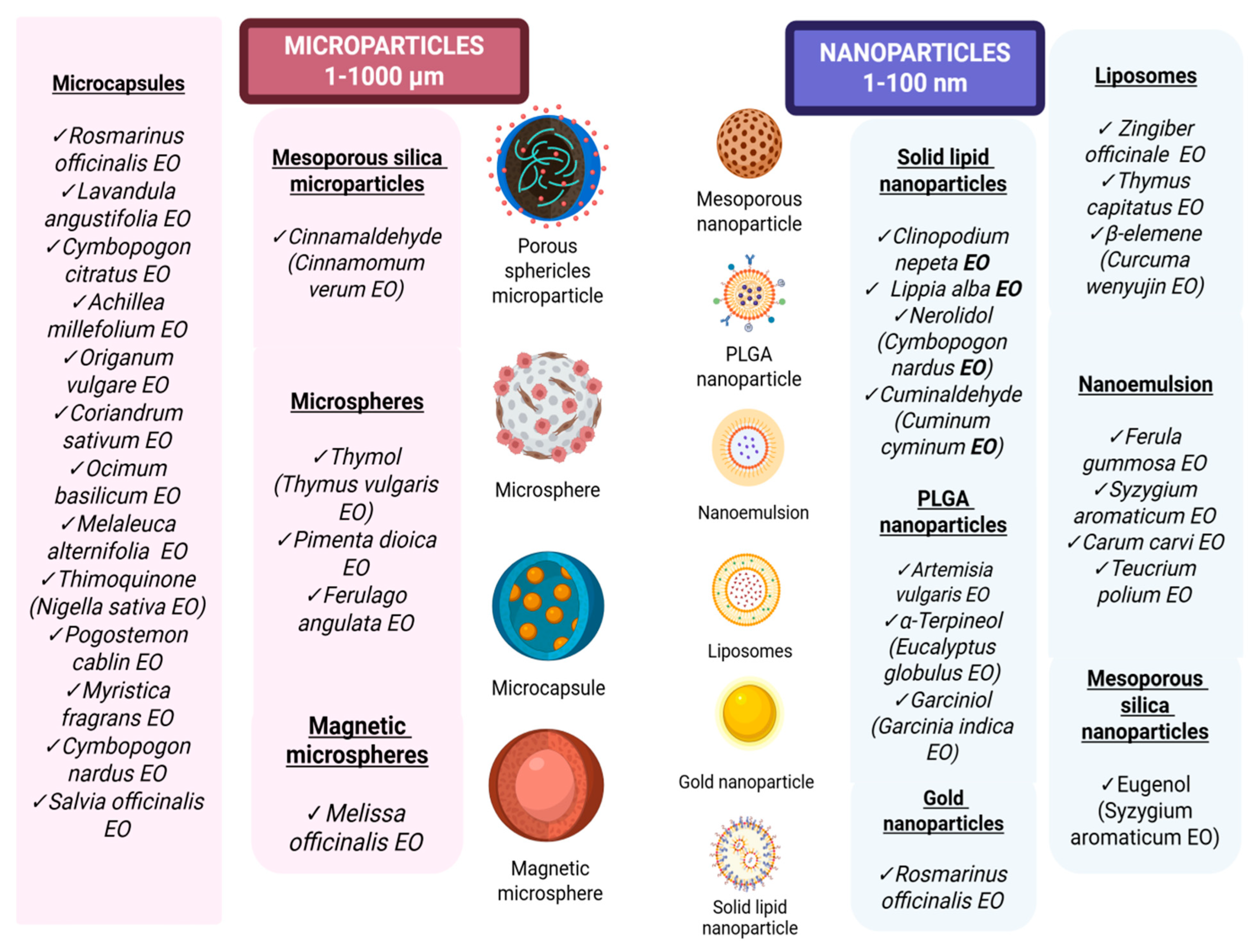 Biochem 05 00026 g004 Biochem 05 00026 g004