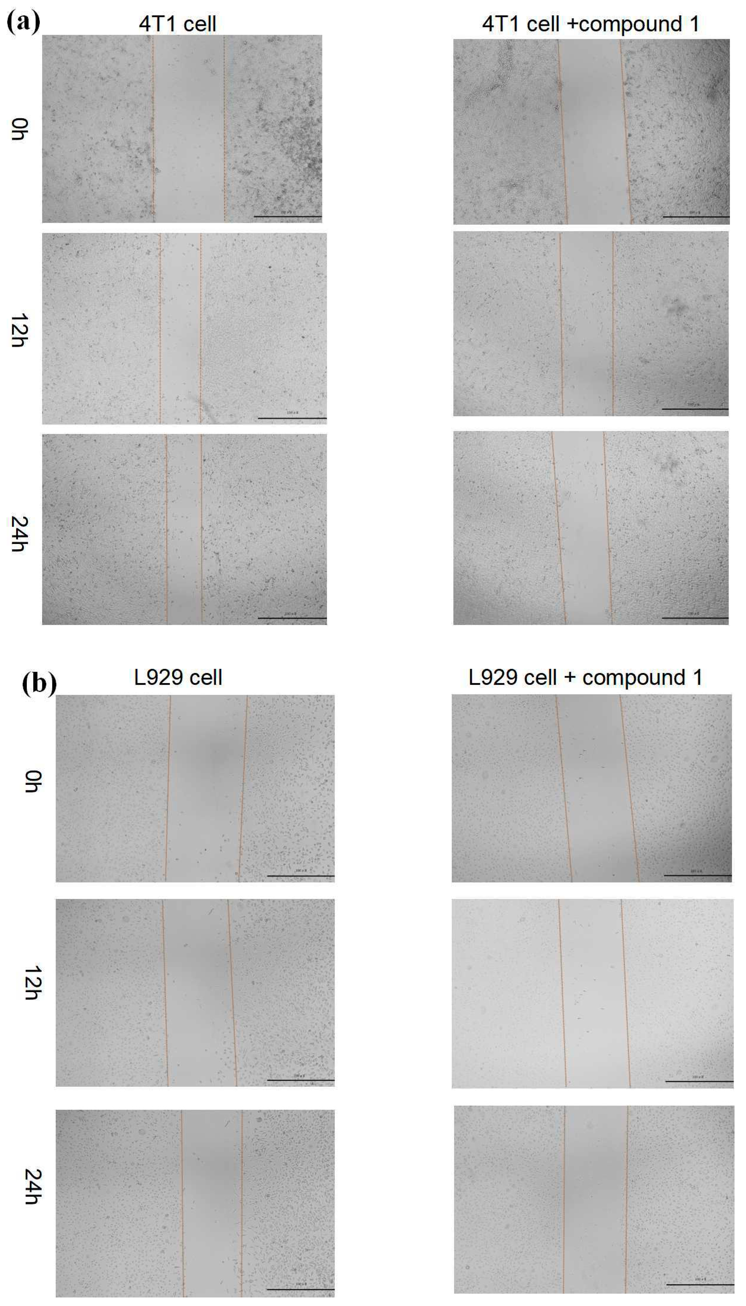 Biochem 05 00027 g007a Biochem 05 00027 g007a