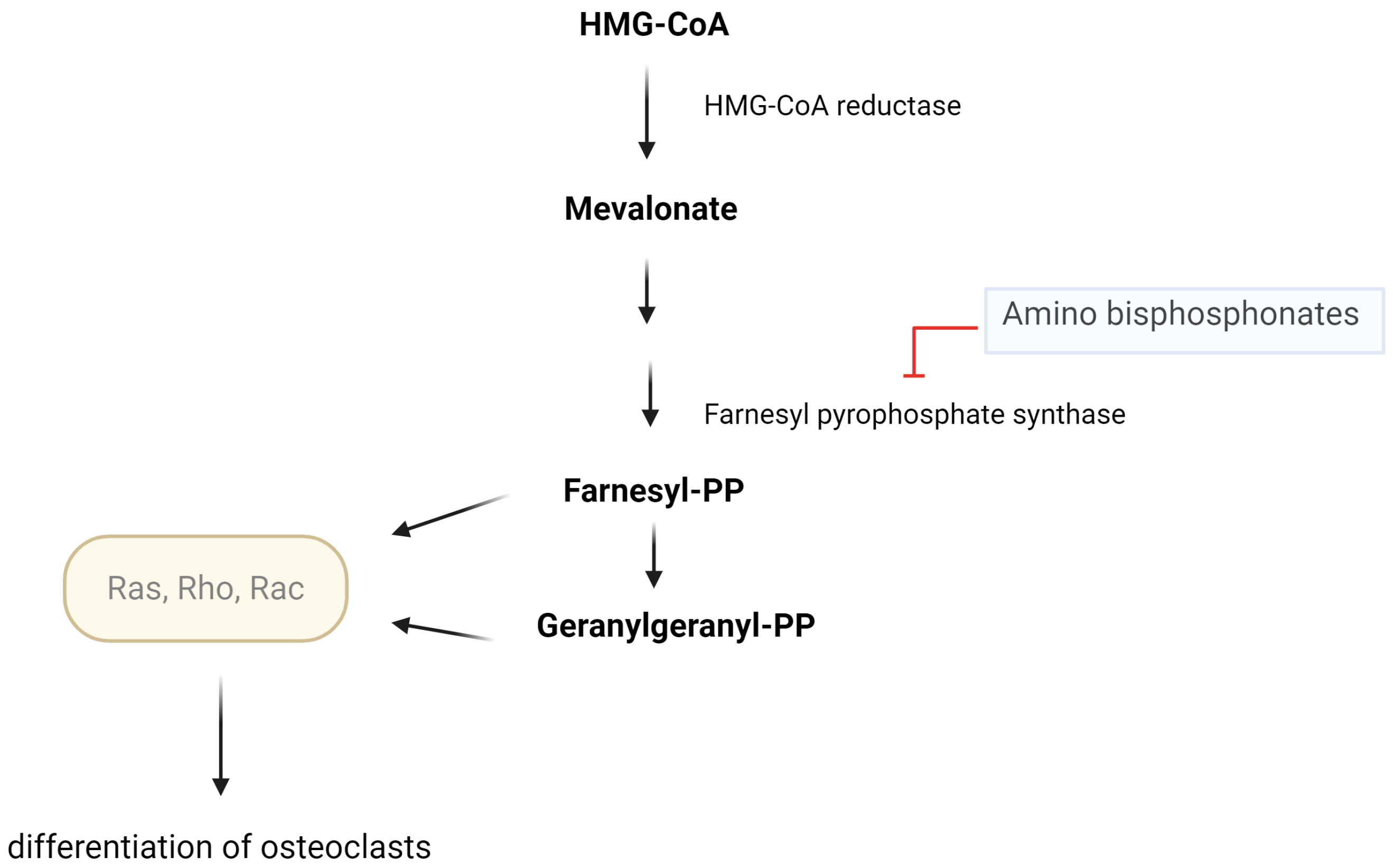 Biochem 05 00031 g002 Biochem 05 00031 g002