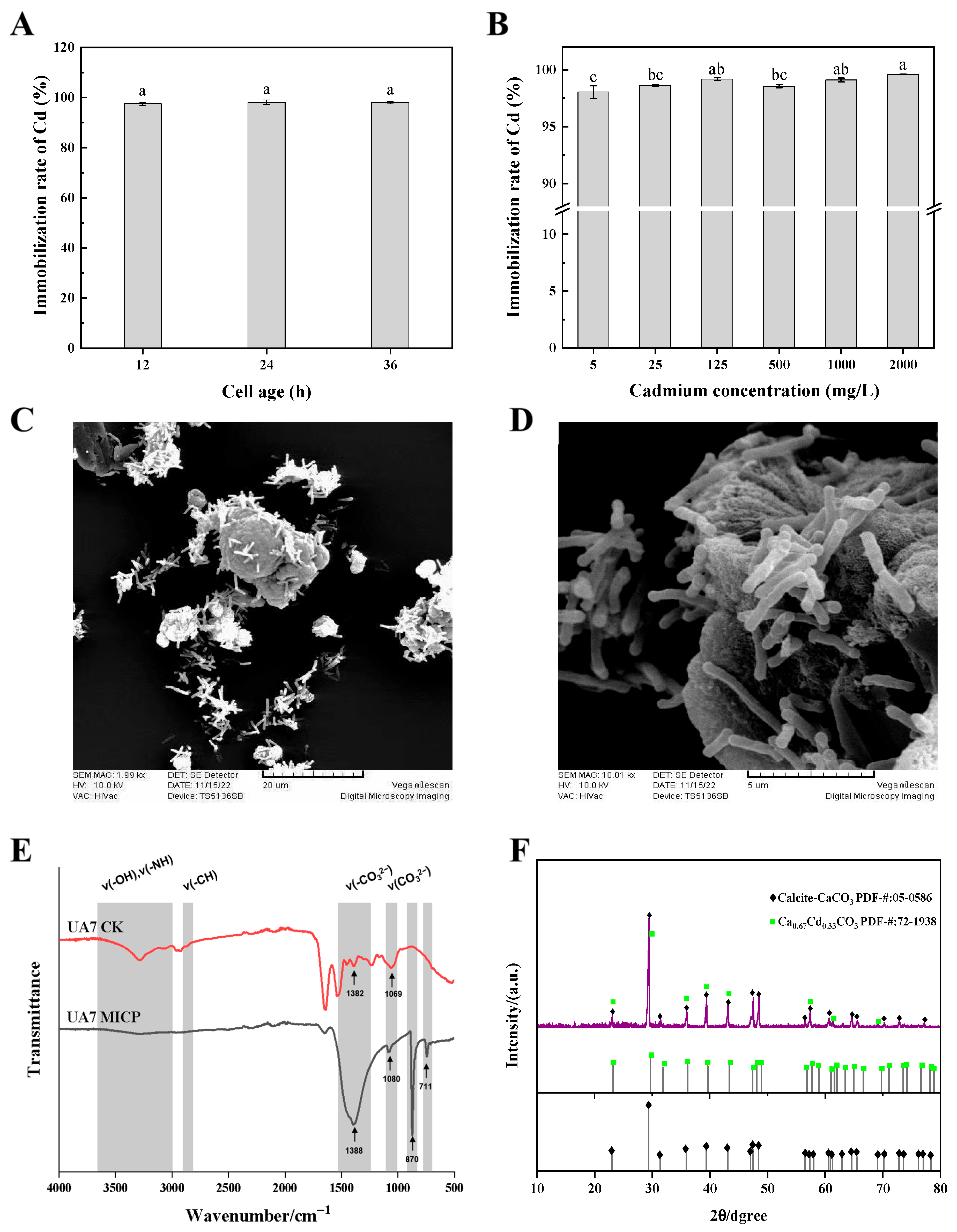 Biochem 05 00034 g003 Biochem 05 00034 g003