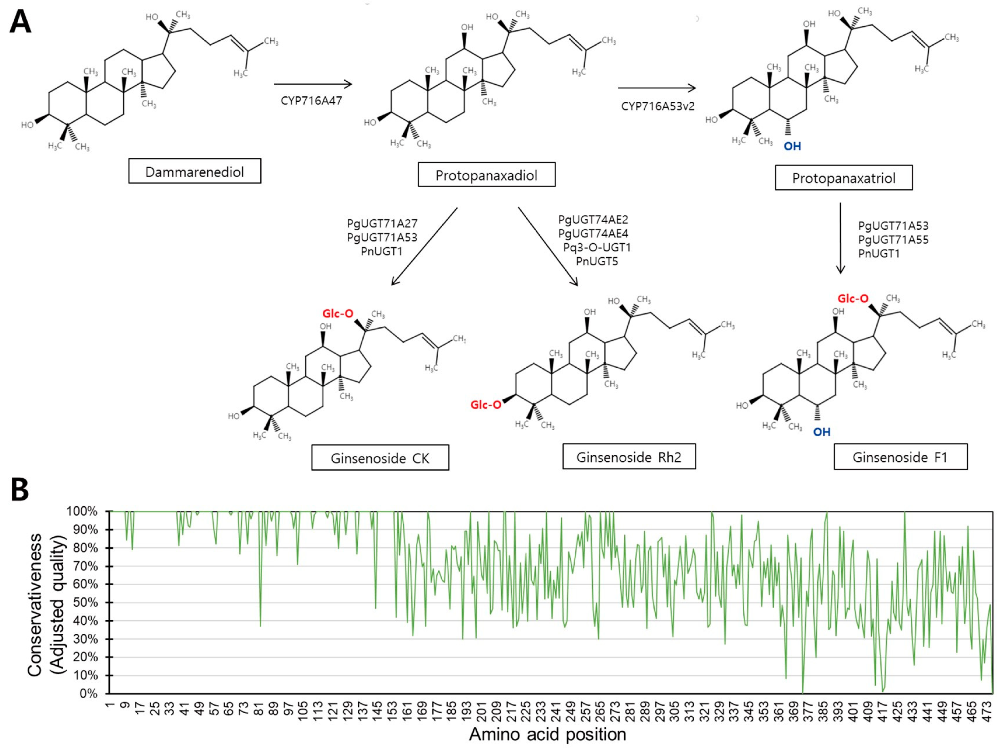 Biochem 05 00036 g001 Biochem 05 00036 g001