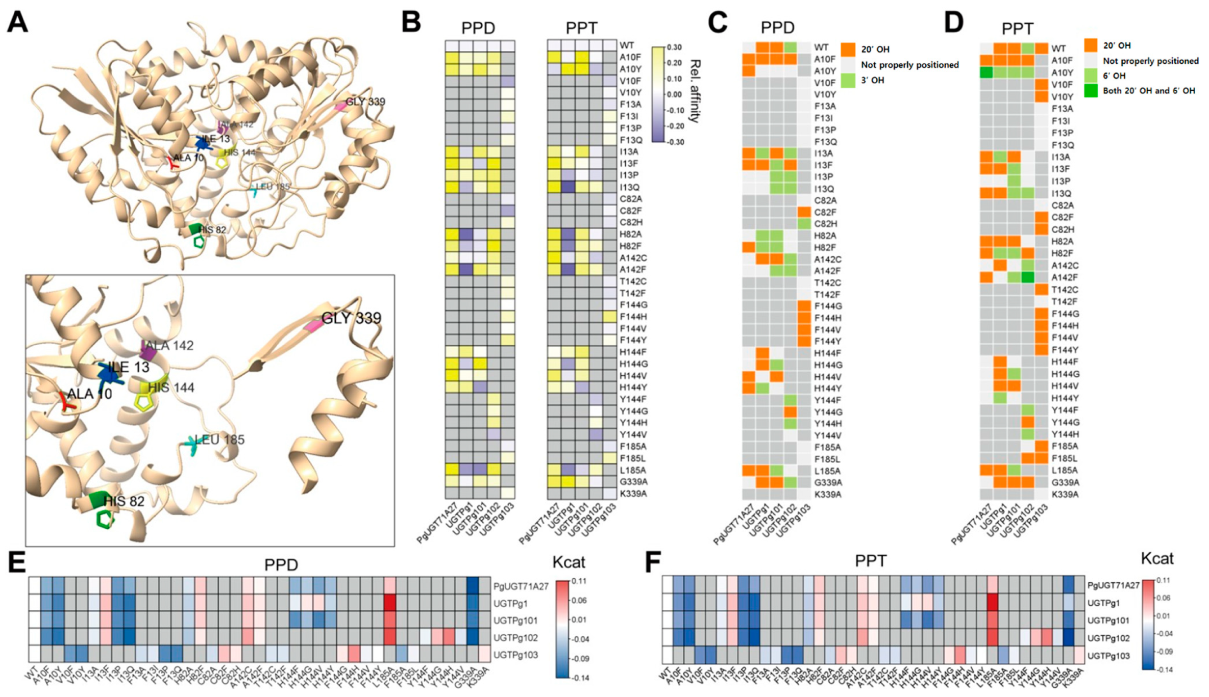 Biochem 05 00036 g003 Biochem 05 00036 g003