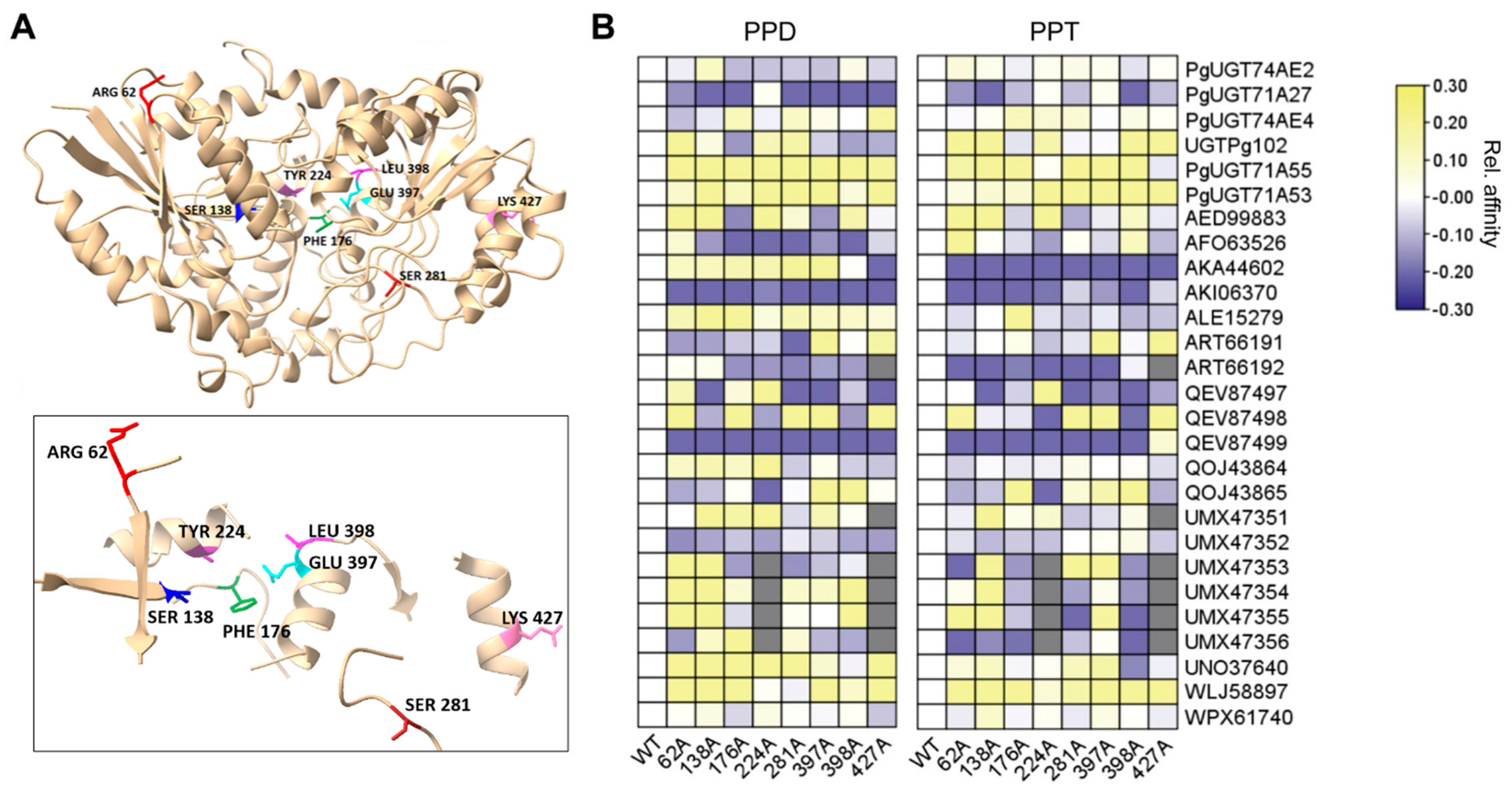 Biochem 05 00036 g004 Biochem 05 00036 g004