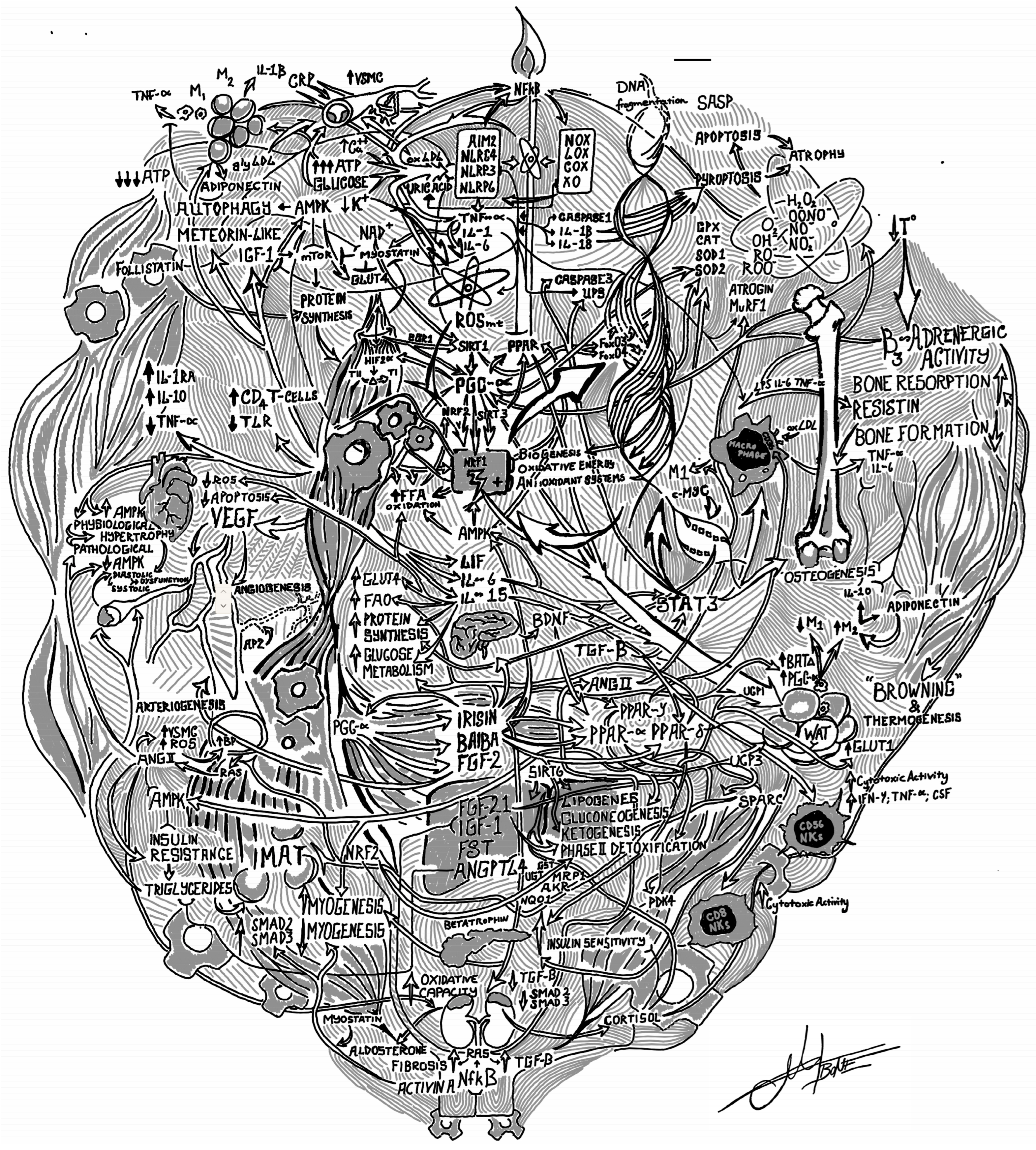 Biochem 05 00037 g001 Biochem 05 00037 g001