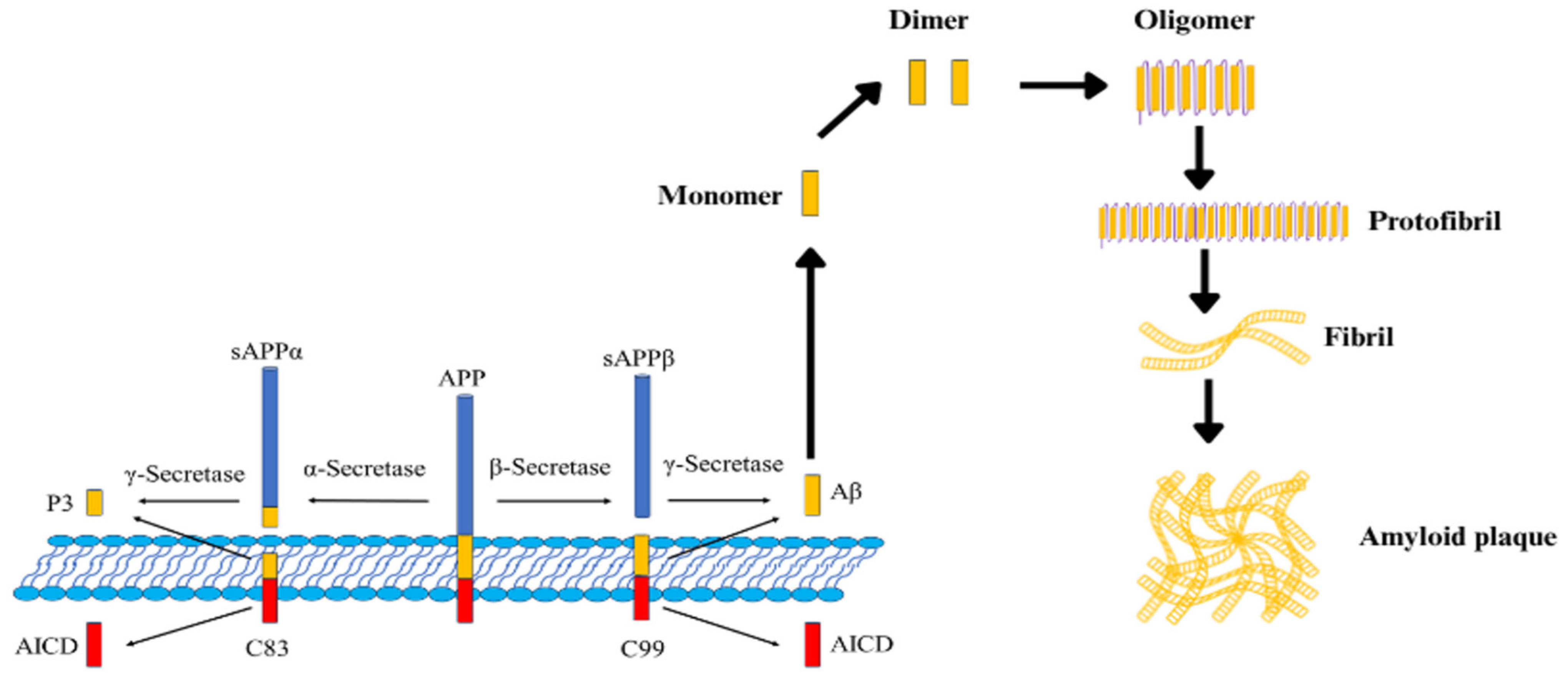 Biochem 05 00040 g001