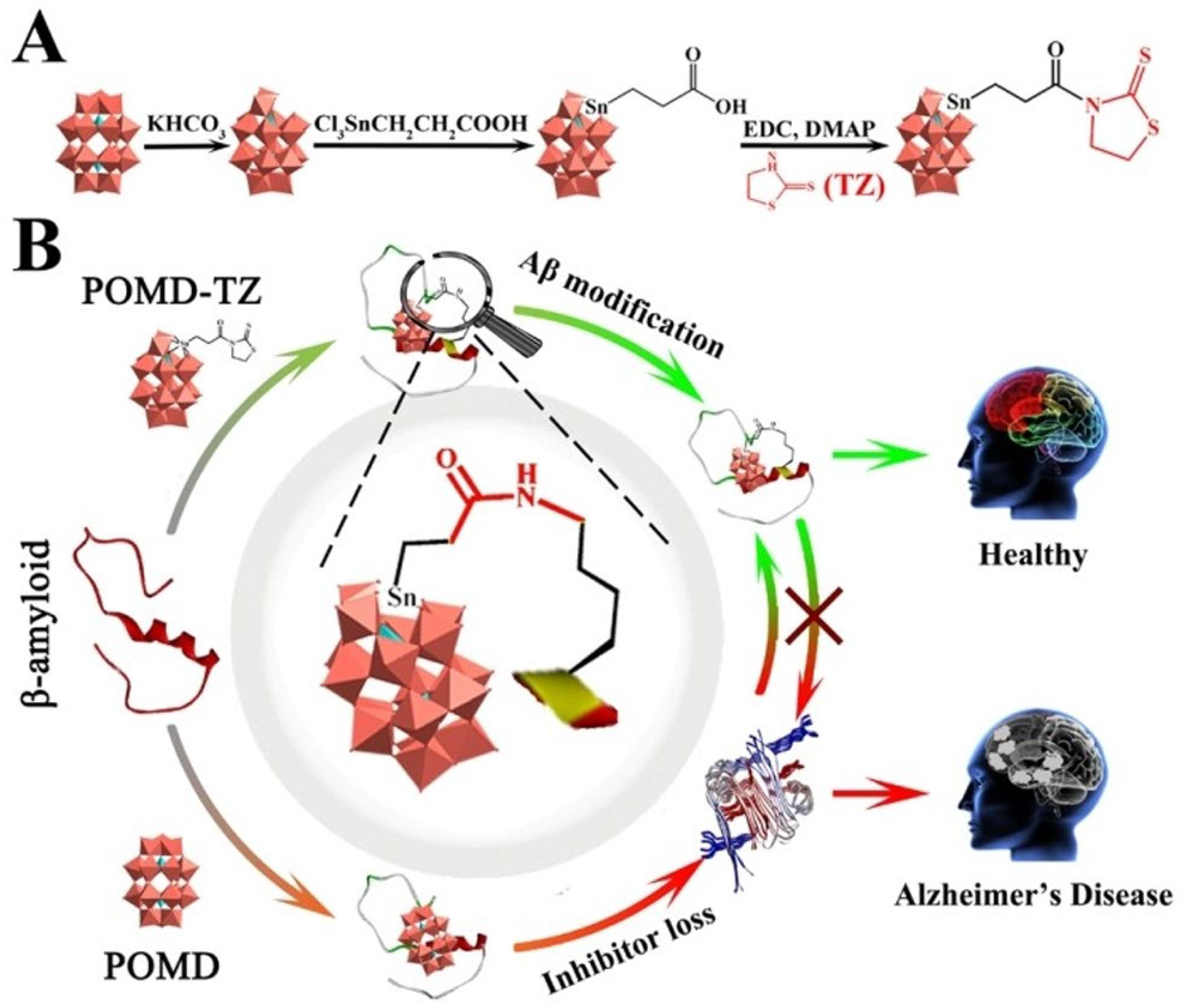 Biochem 05 00041 g007
