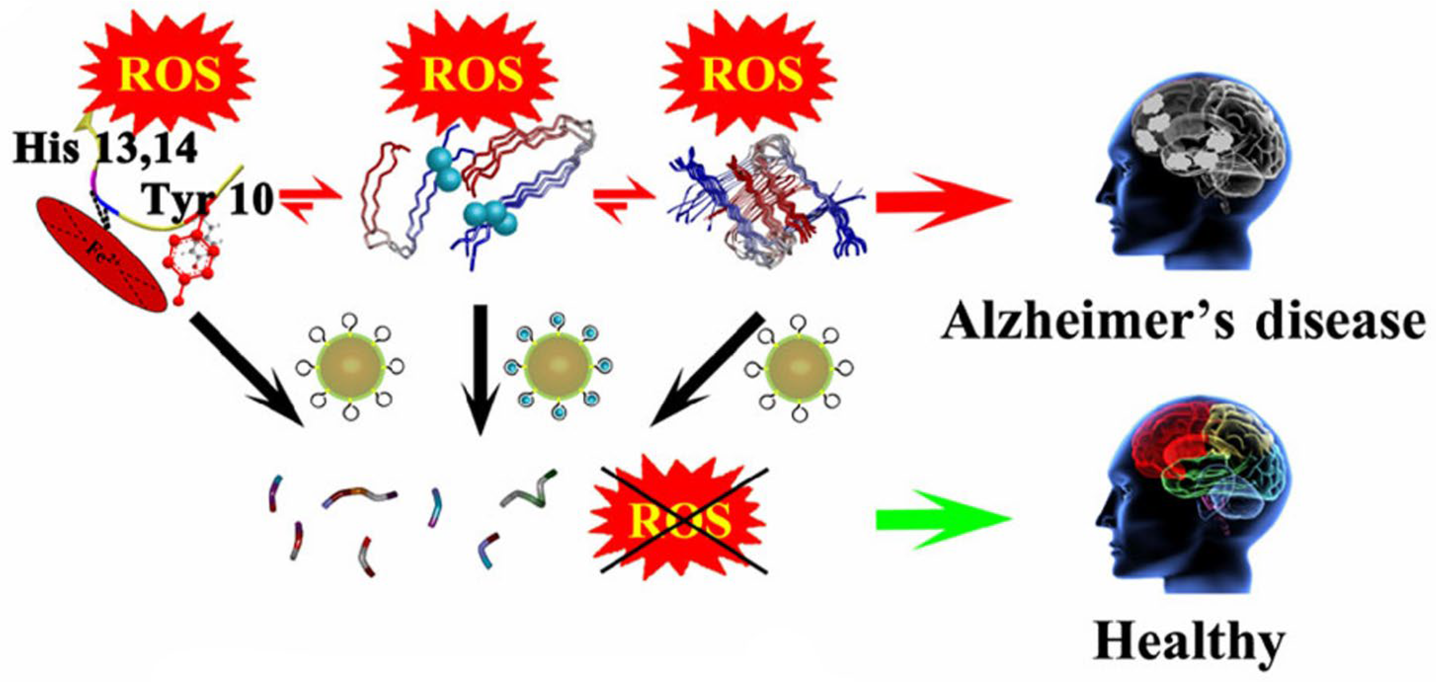 Biochem 05 00041 g009