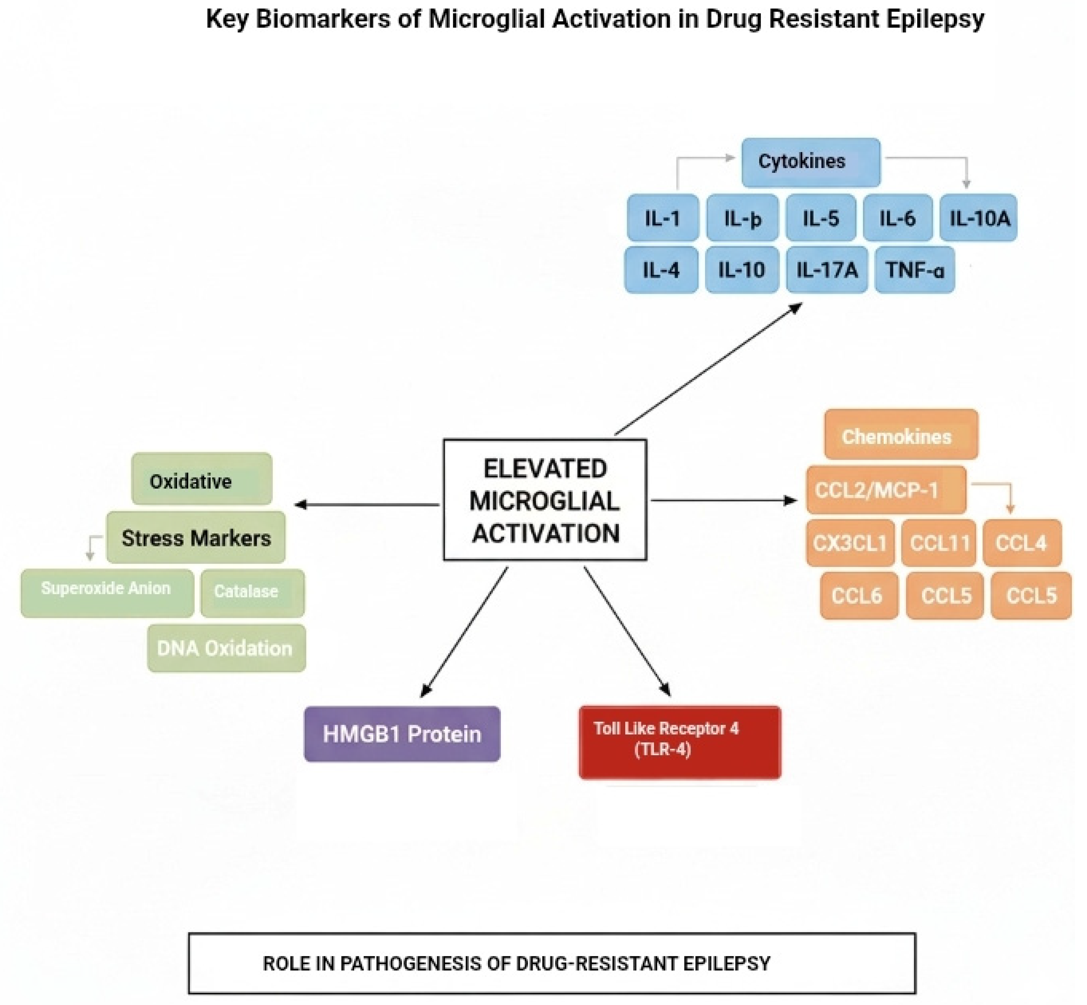 Biochem 05 00043 g002