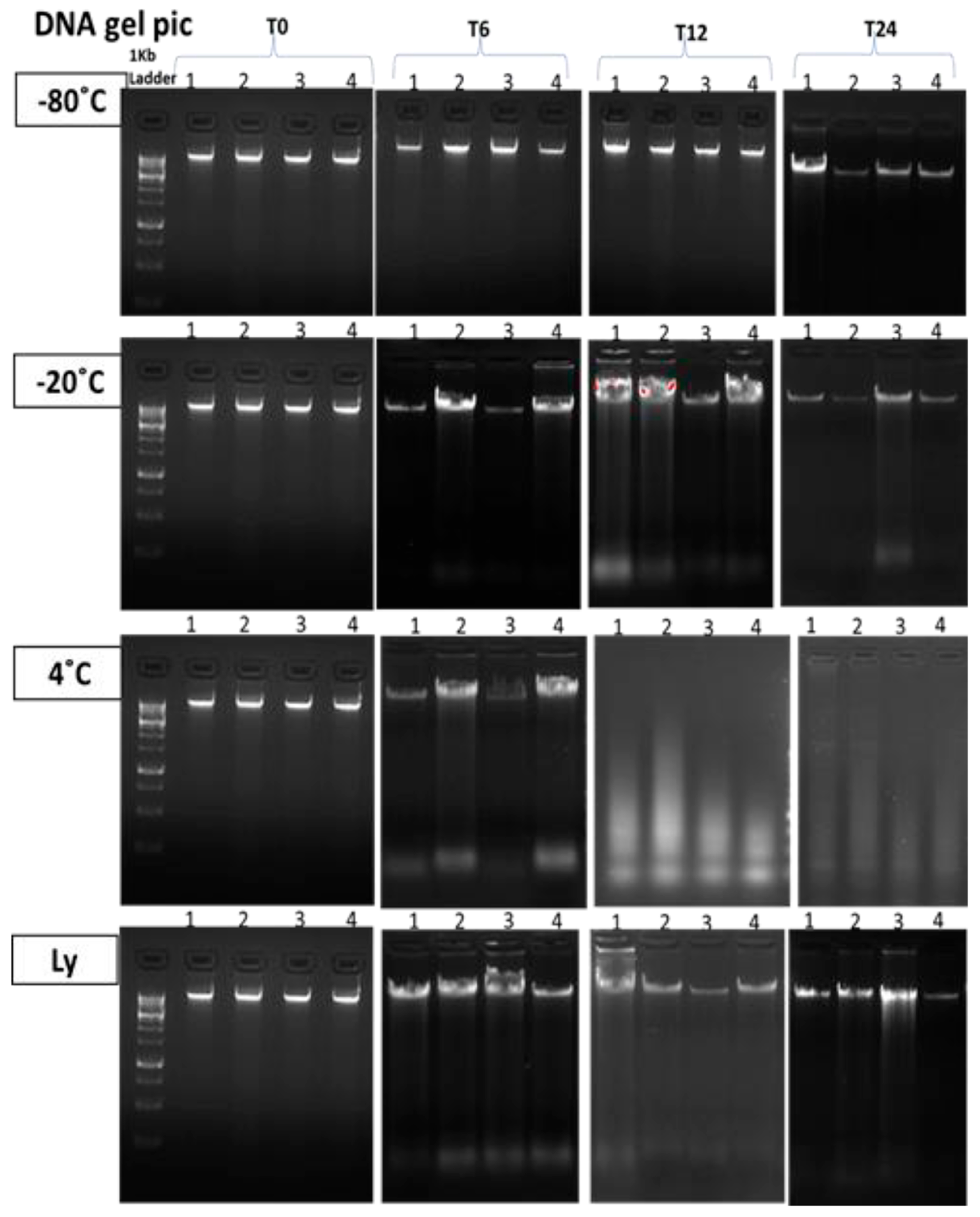 Biochem 06 00001 g007