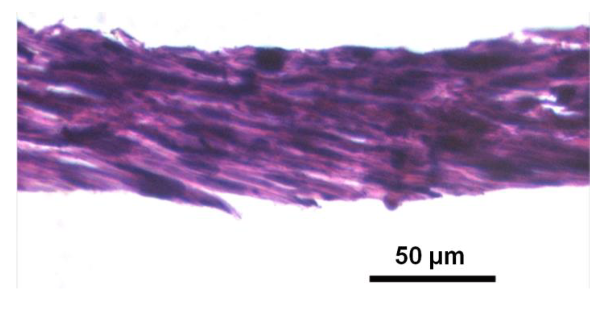 Bioengineering 01 00114 g005