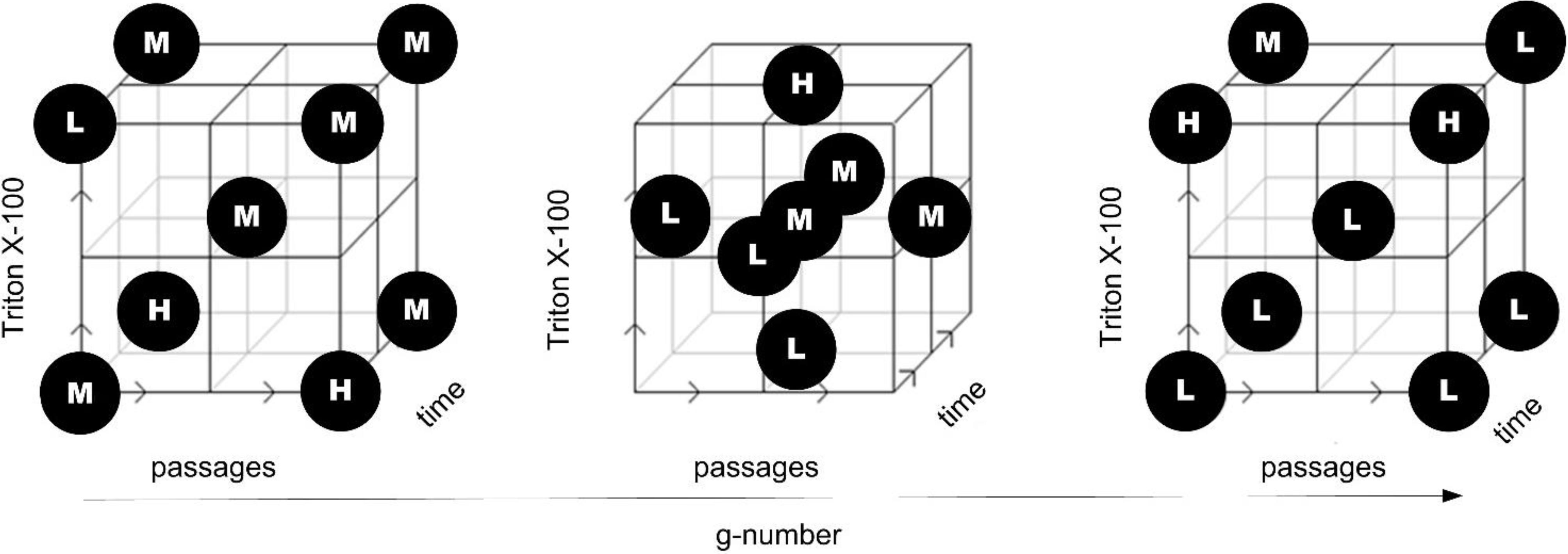 Bioengineering 01 00213 g005
