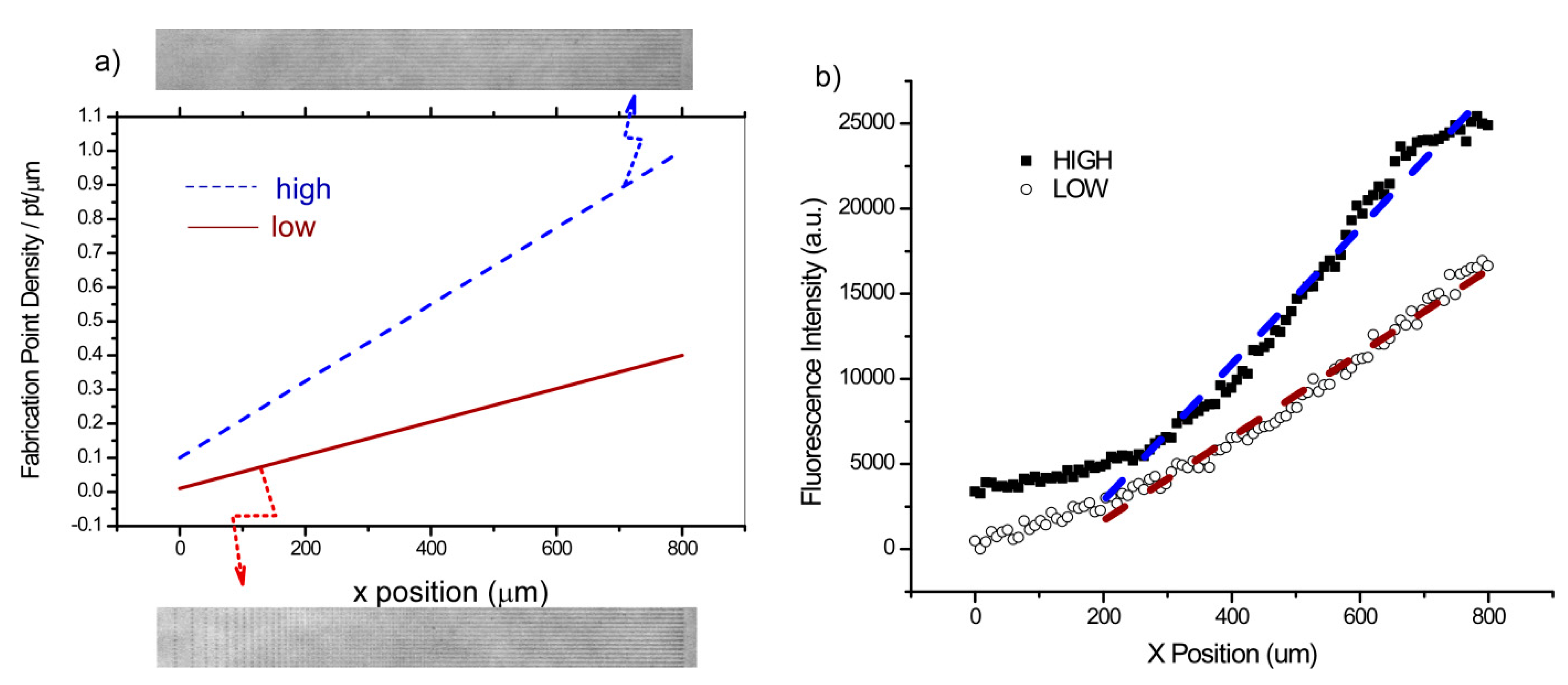 Bioengineering 02 00139 g001 1024