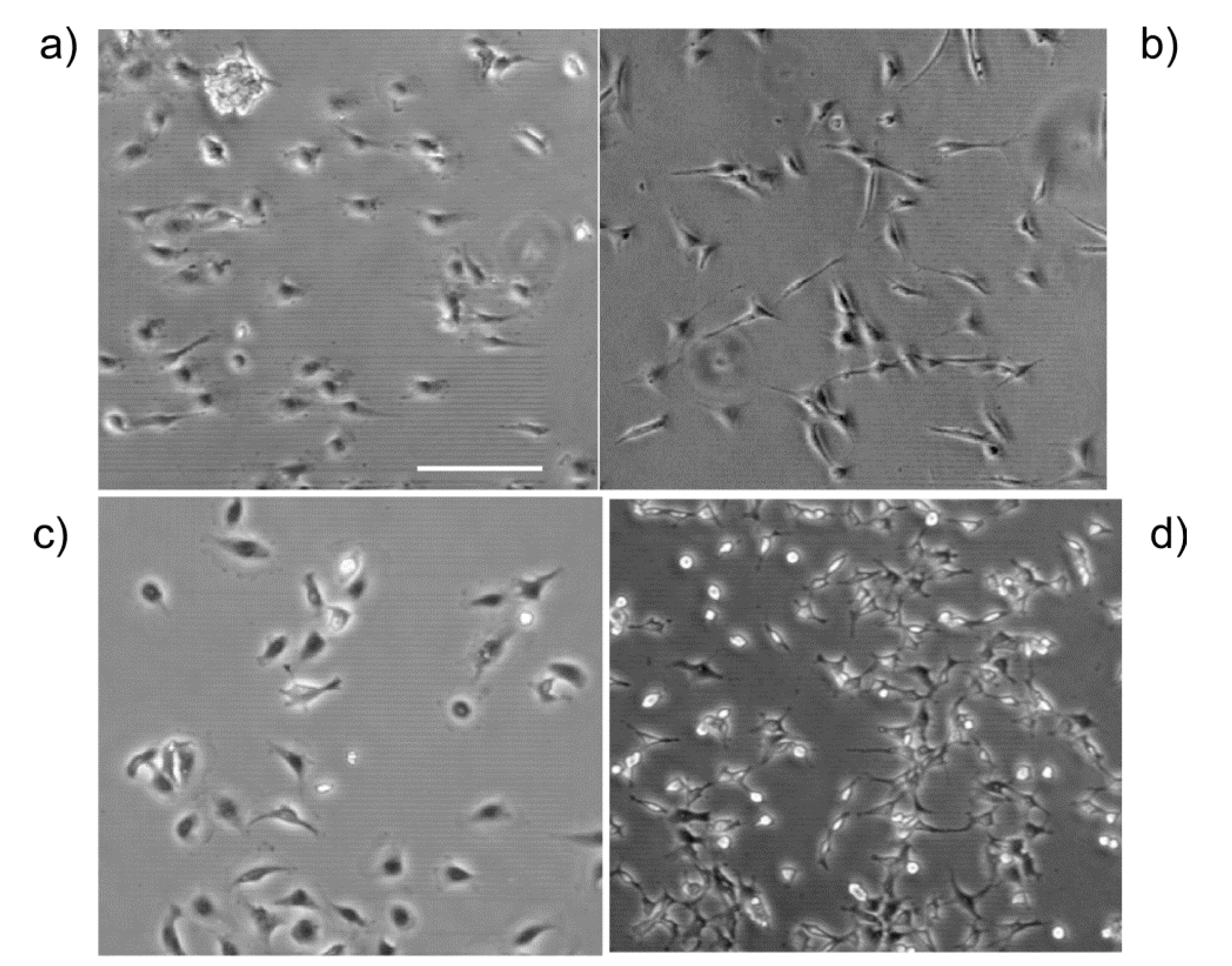 Bioengineering 02 00139 g002 1024