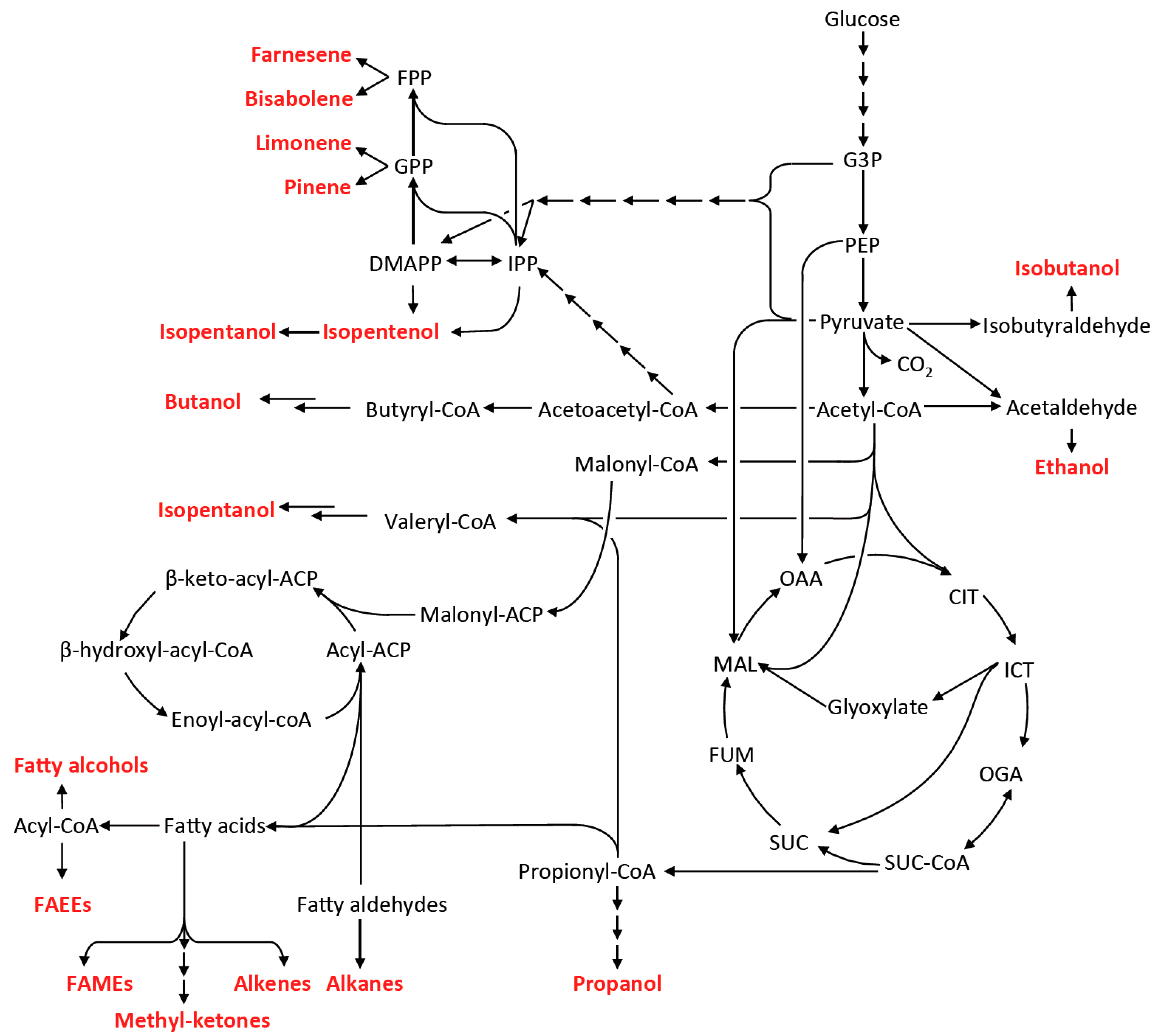 Bioengineering 02 00184 g003