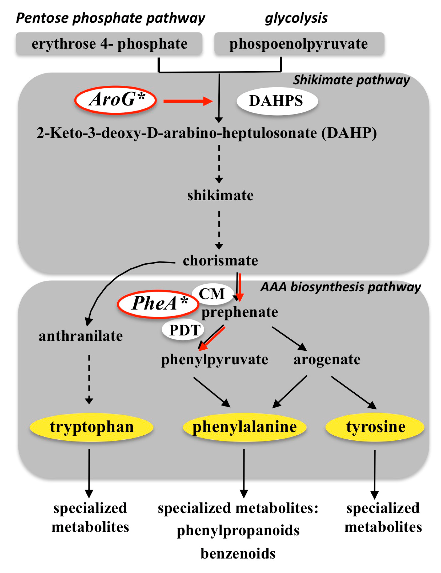 Bioengineering 02 00204 g002 1024
