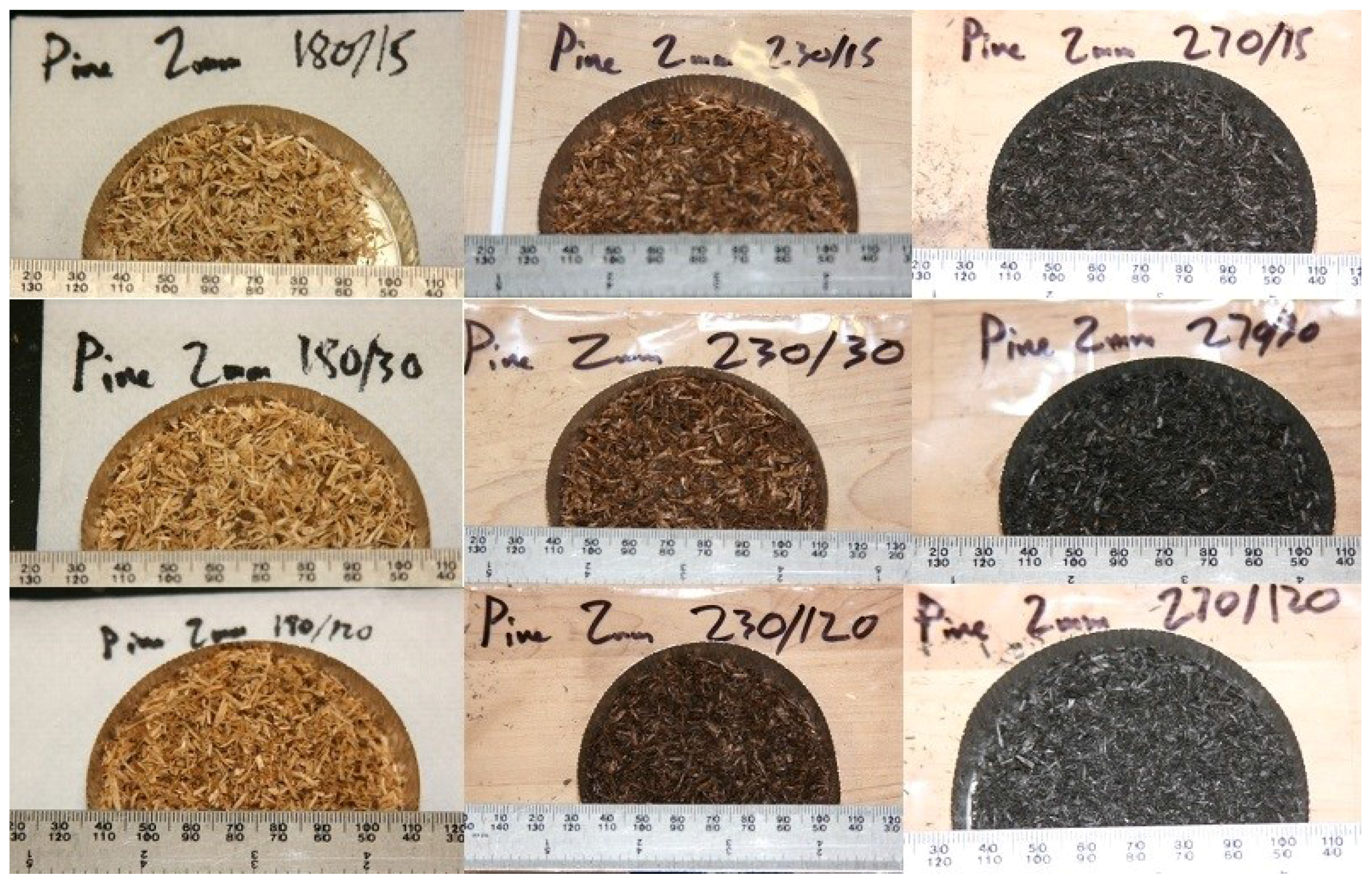 Bioengineering 03 00016 g003