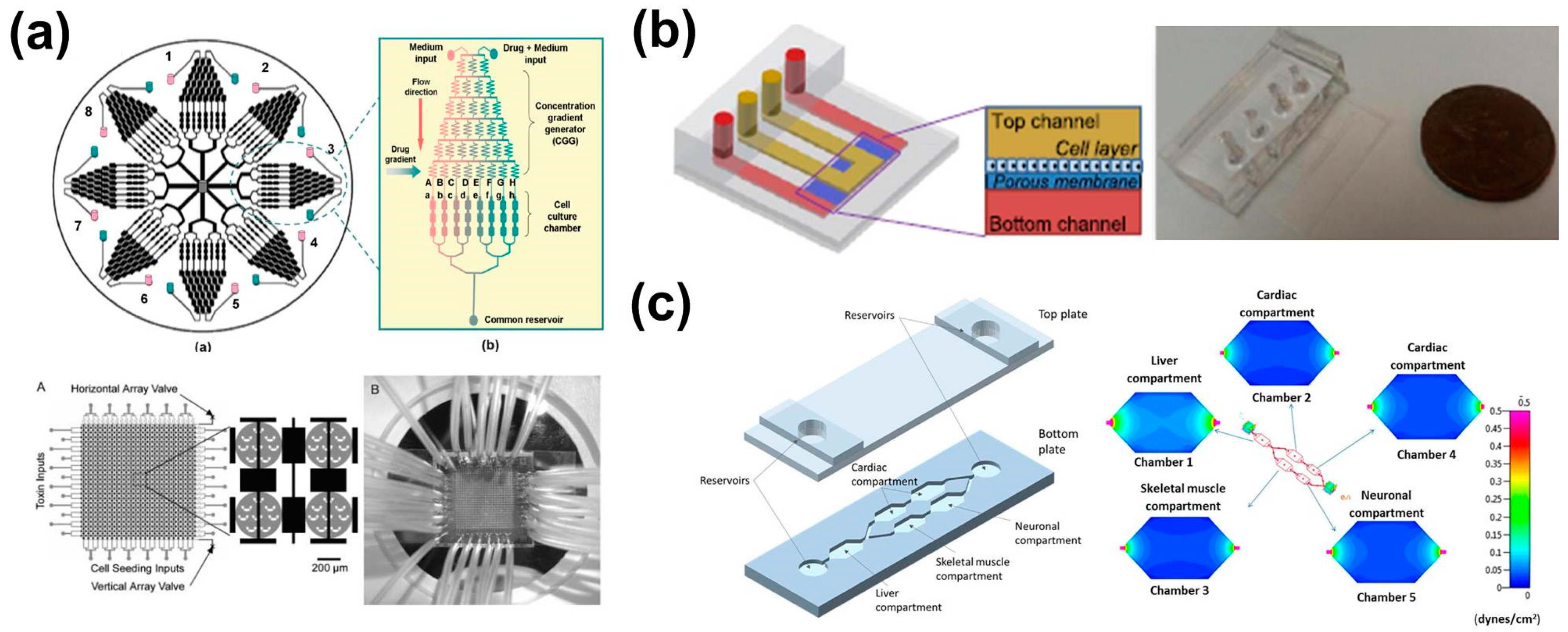 Bioengineering 03 00025 g002 550
