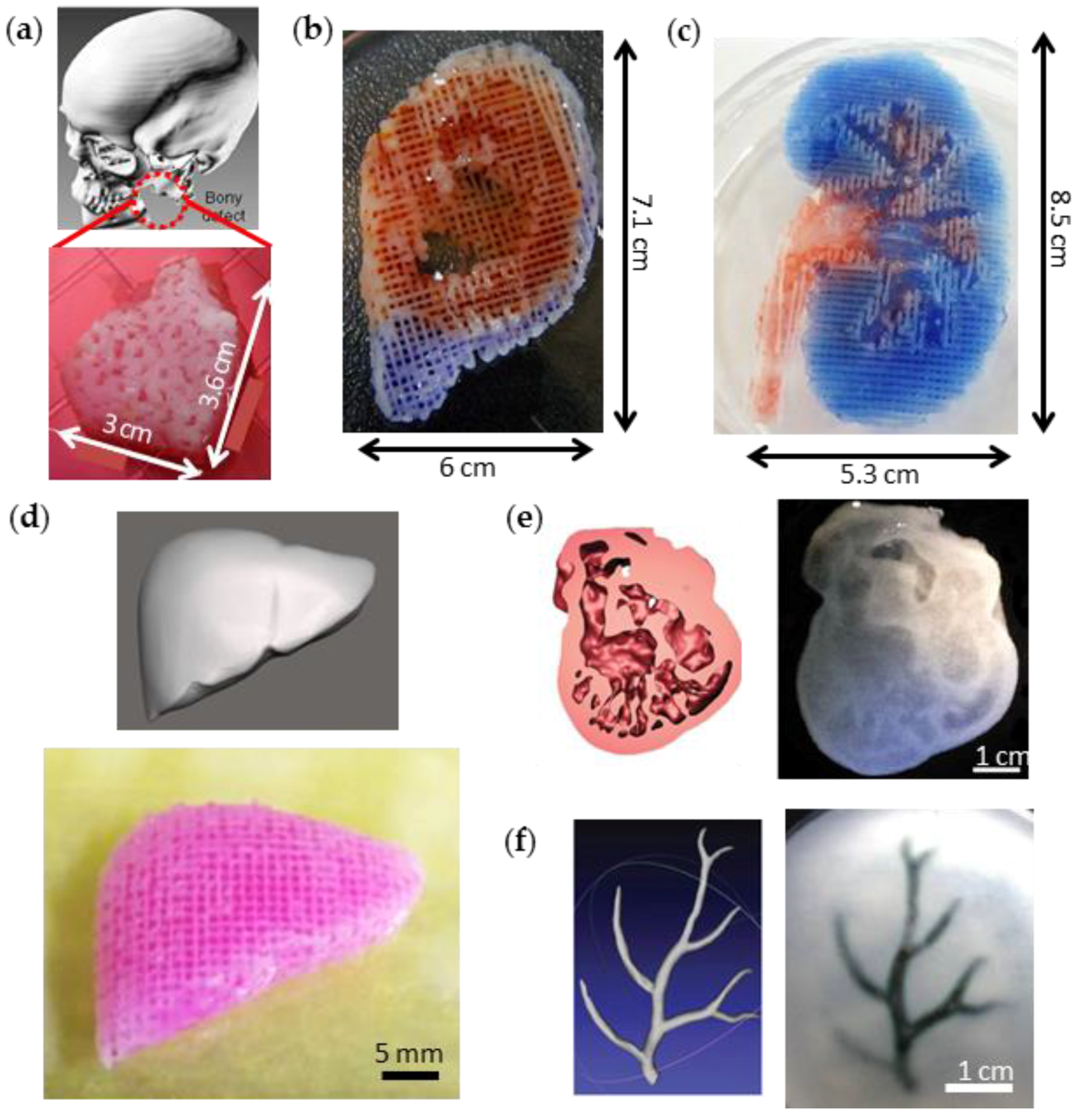 A Possible Weapon Against the Pandemic: Printing Human
