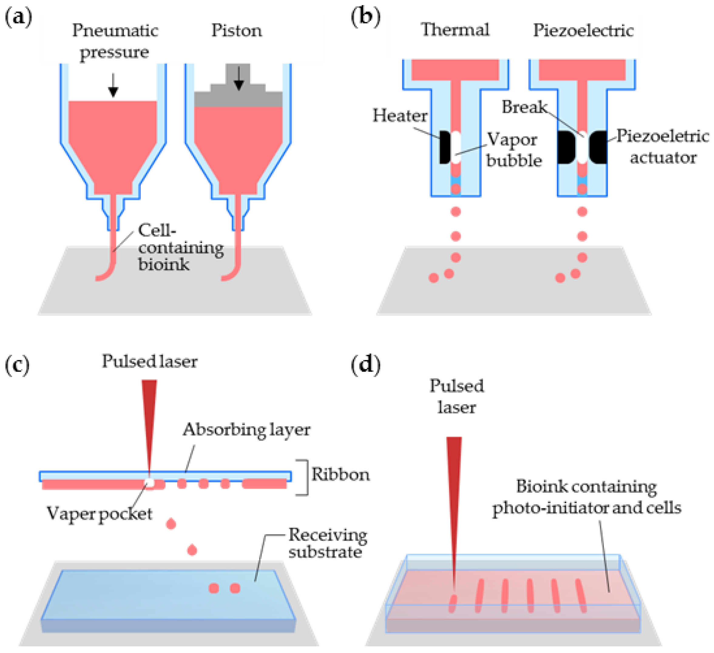 Bioengineering | Free Full-Text | 3D Printing of Organs-On ... types of schematic diagrams 