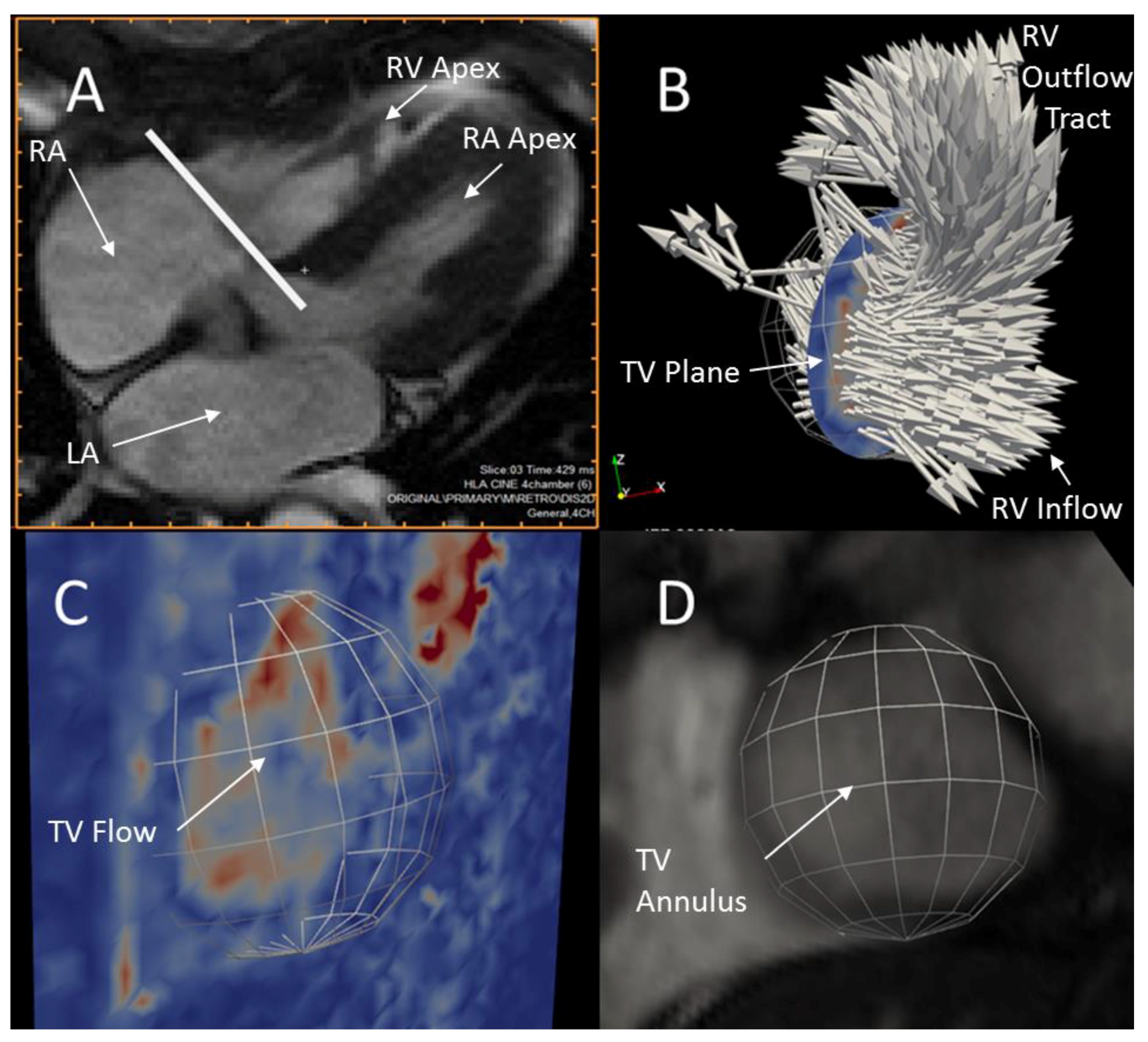 Bioengineering 04 00030 g004 550