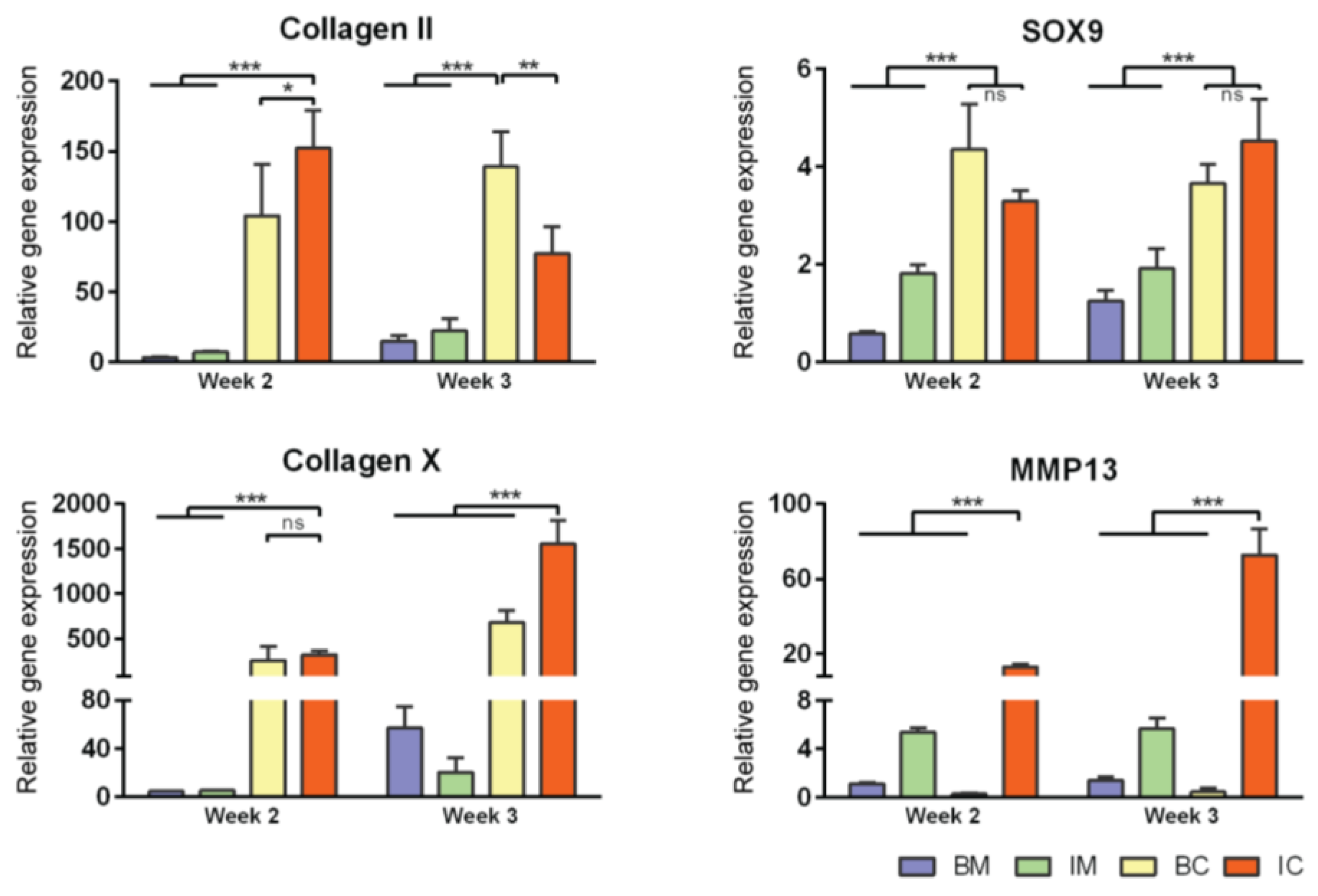 Bioengineering 04 00035 g003 550